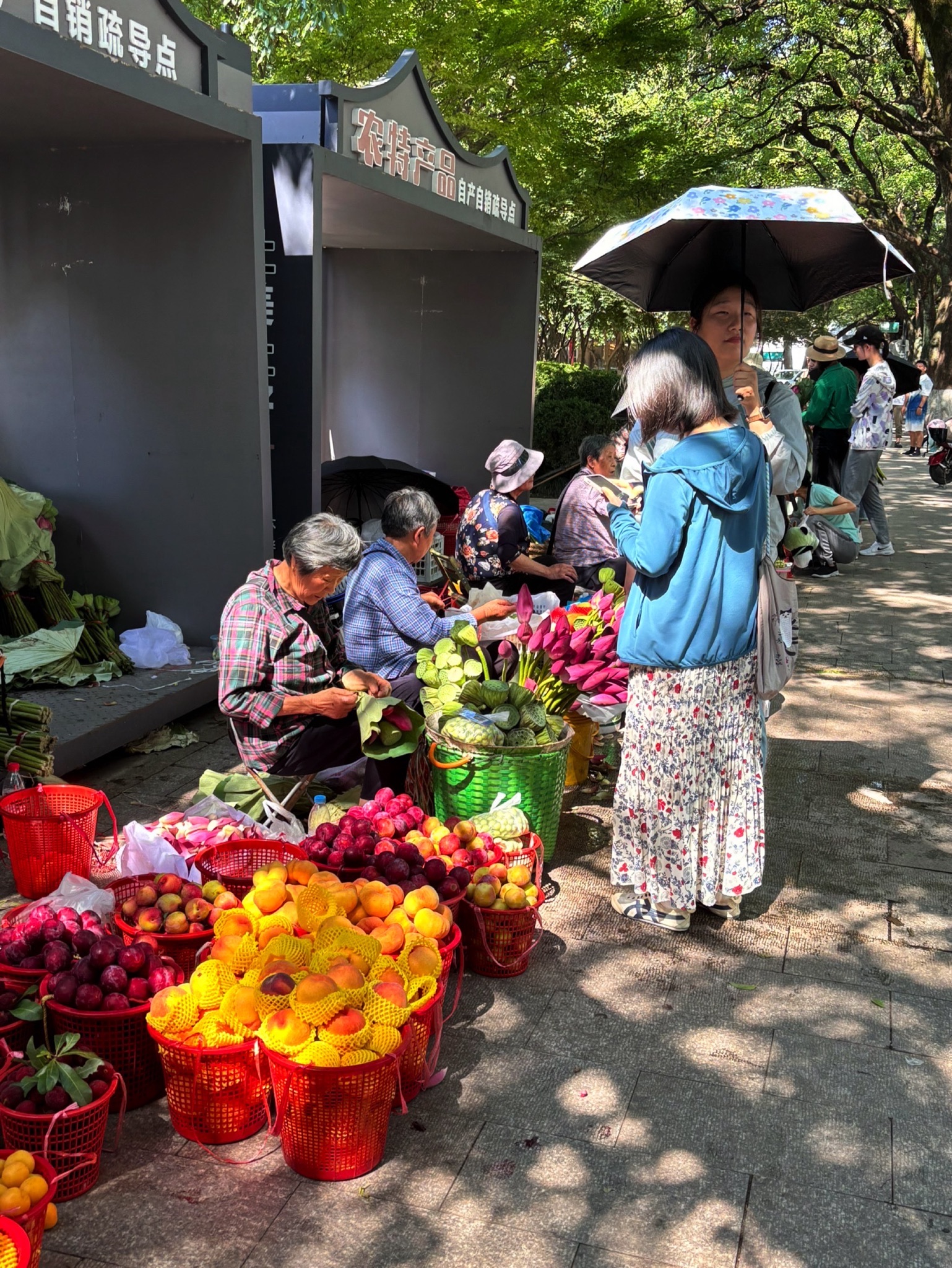 白塔公园旅行图片 1