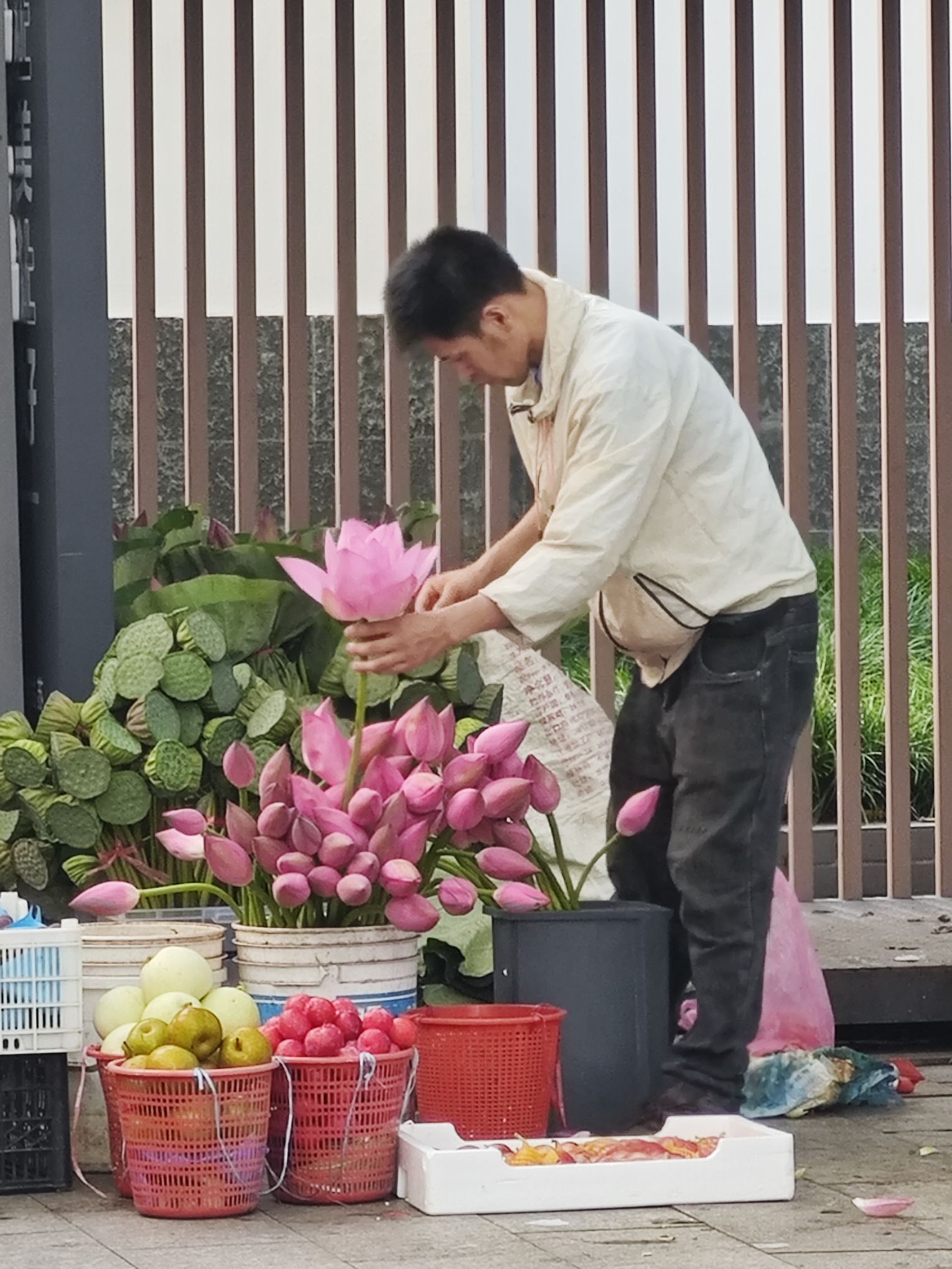 白塔公园旅行图片 1