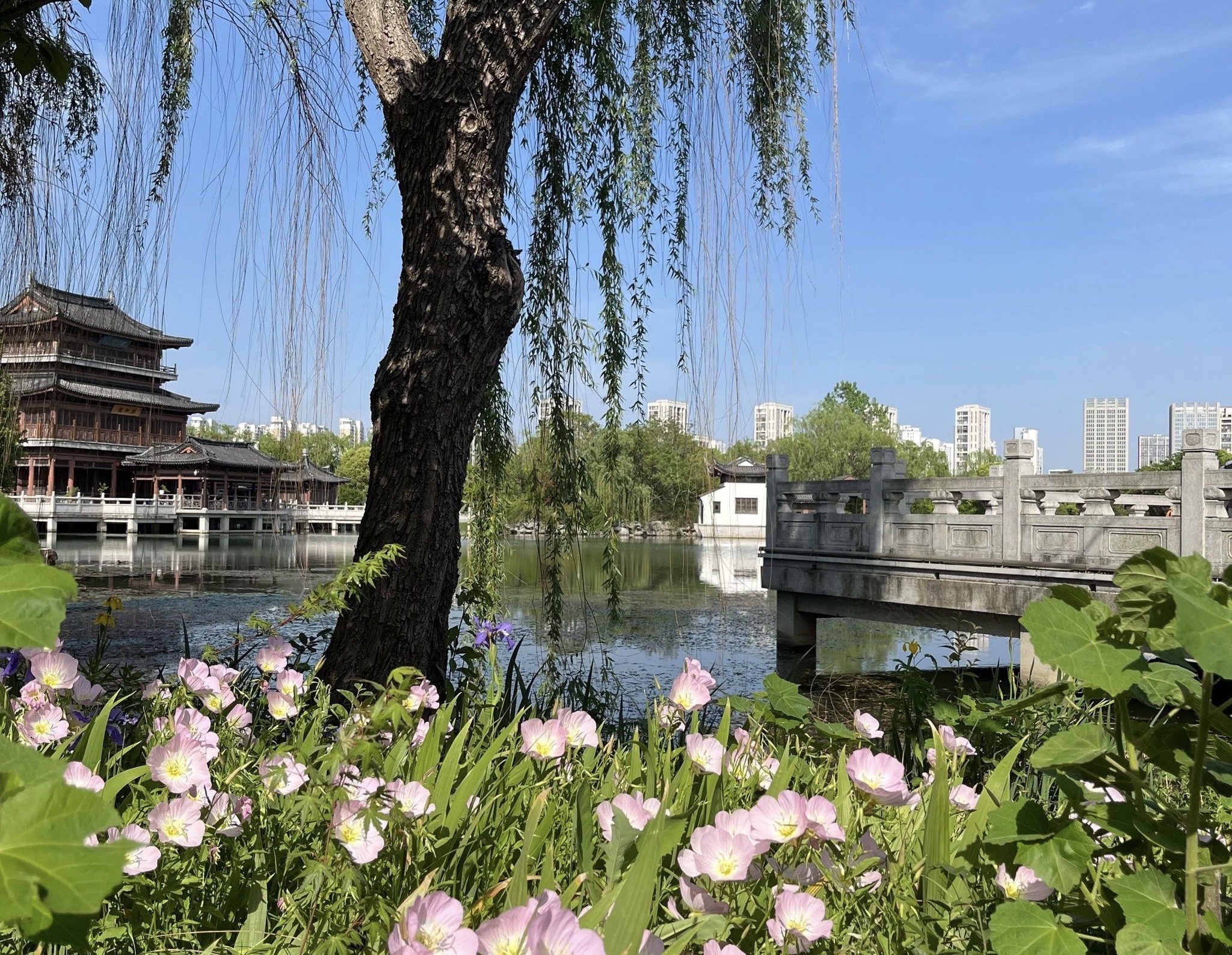石湖景区旅行图片 1