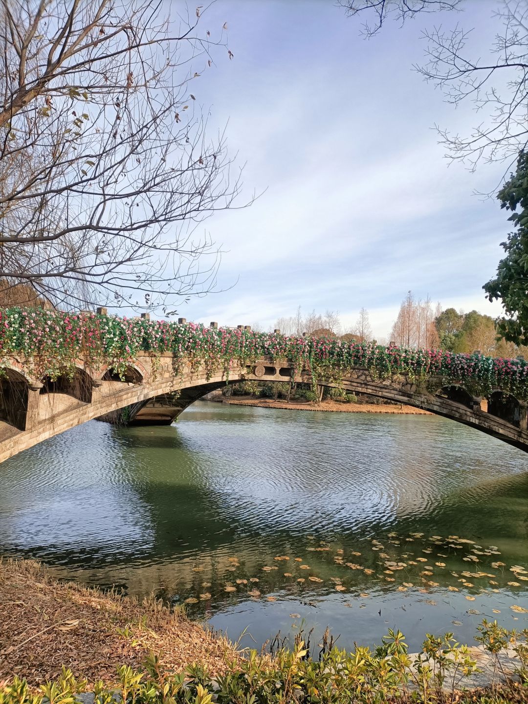石湖景区旅行图片 1