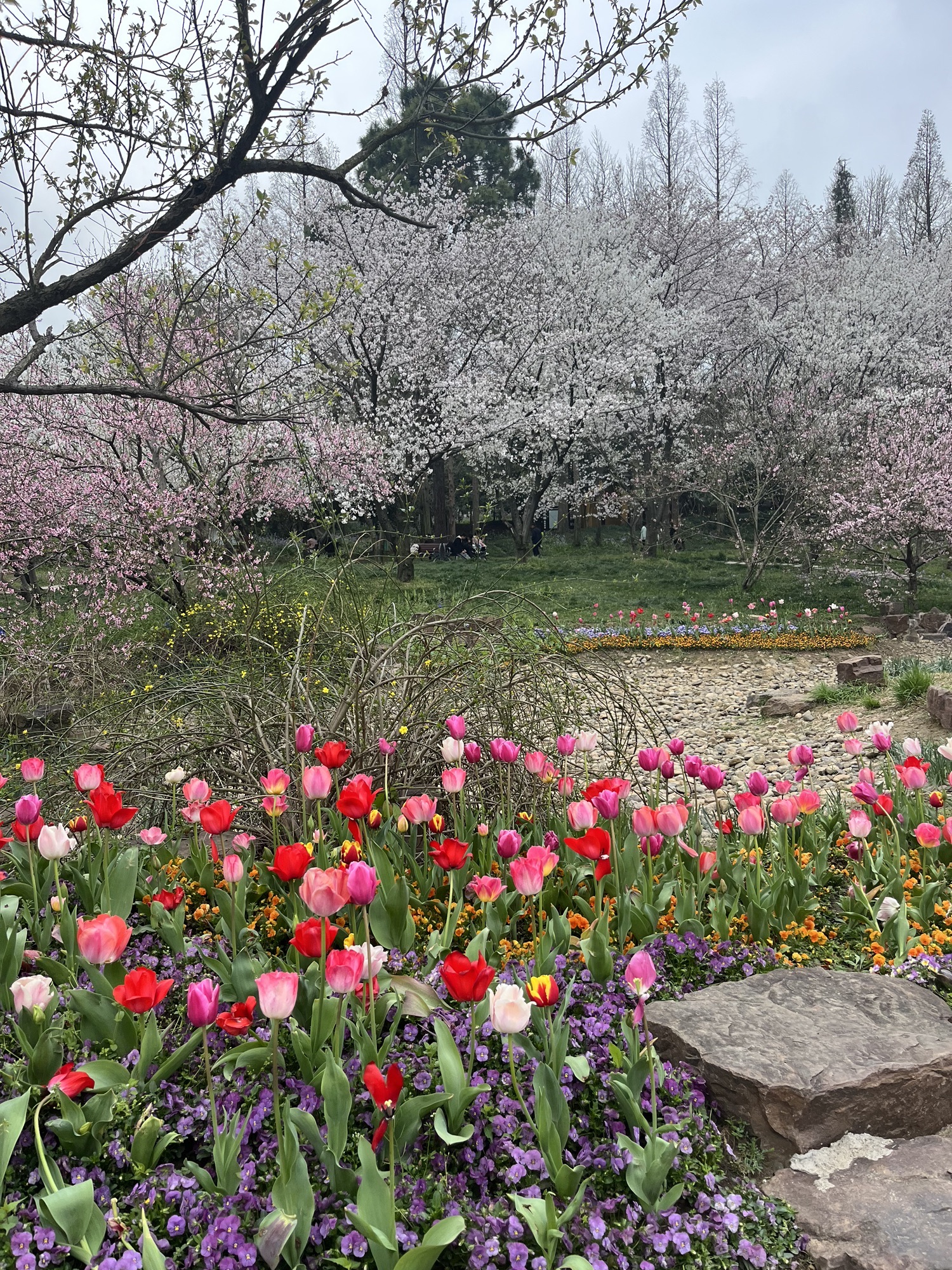 苏州上方山国家森林公园旅行图片 3