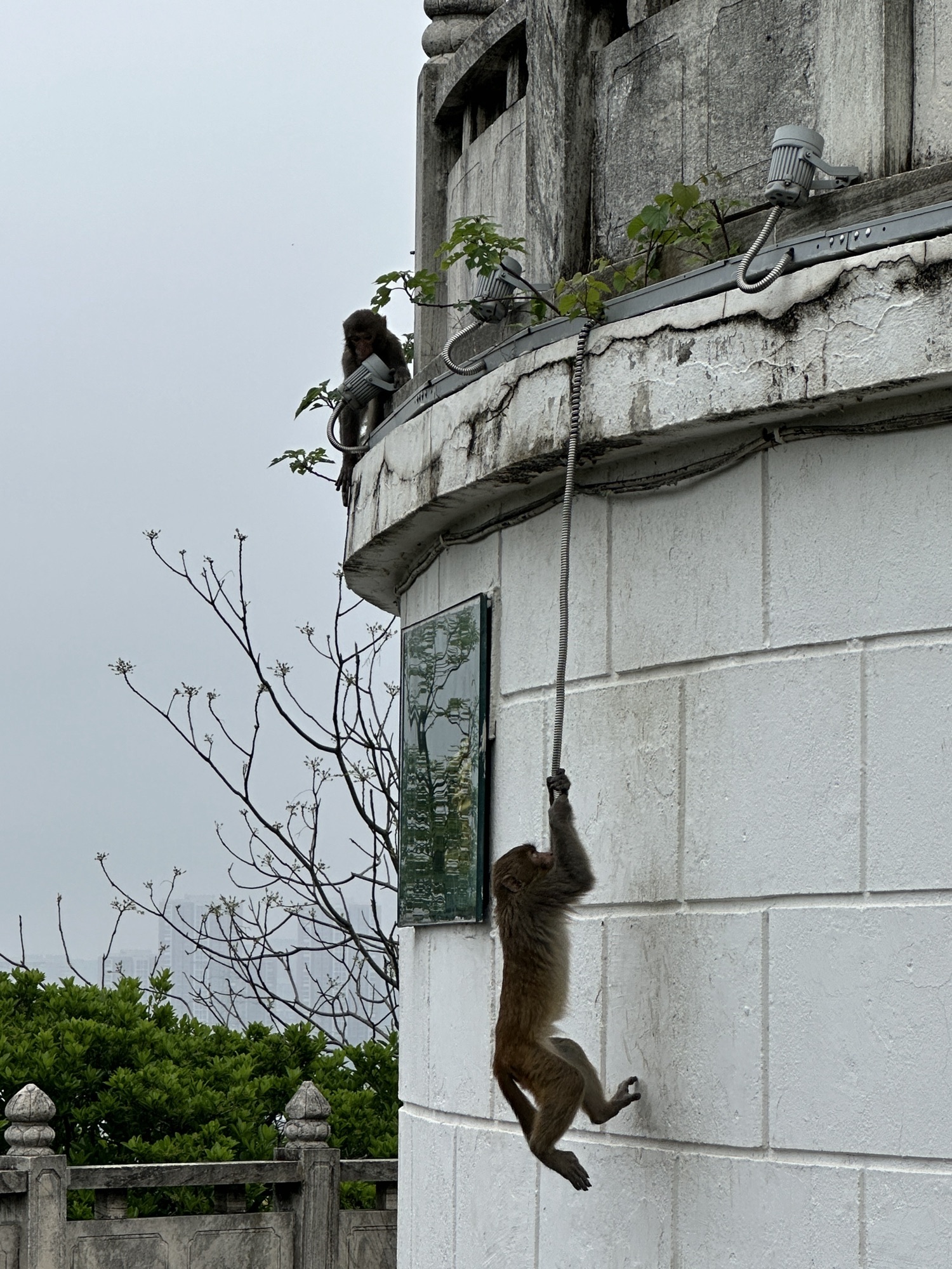 苏州上方山国家森林公园旅行图片 2