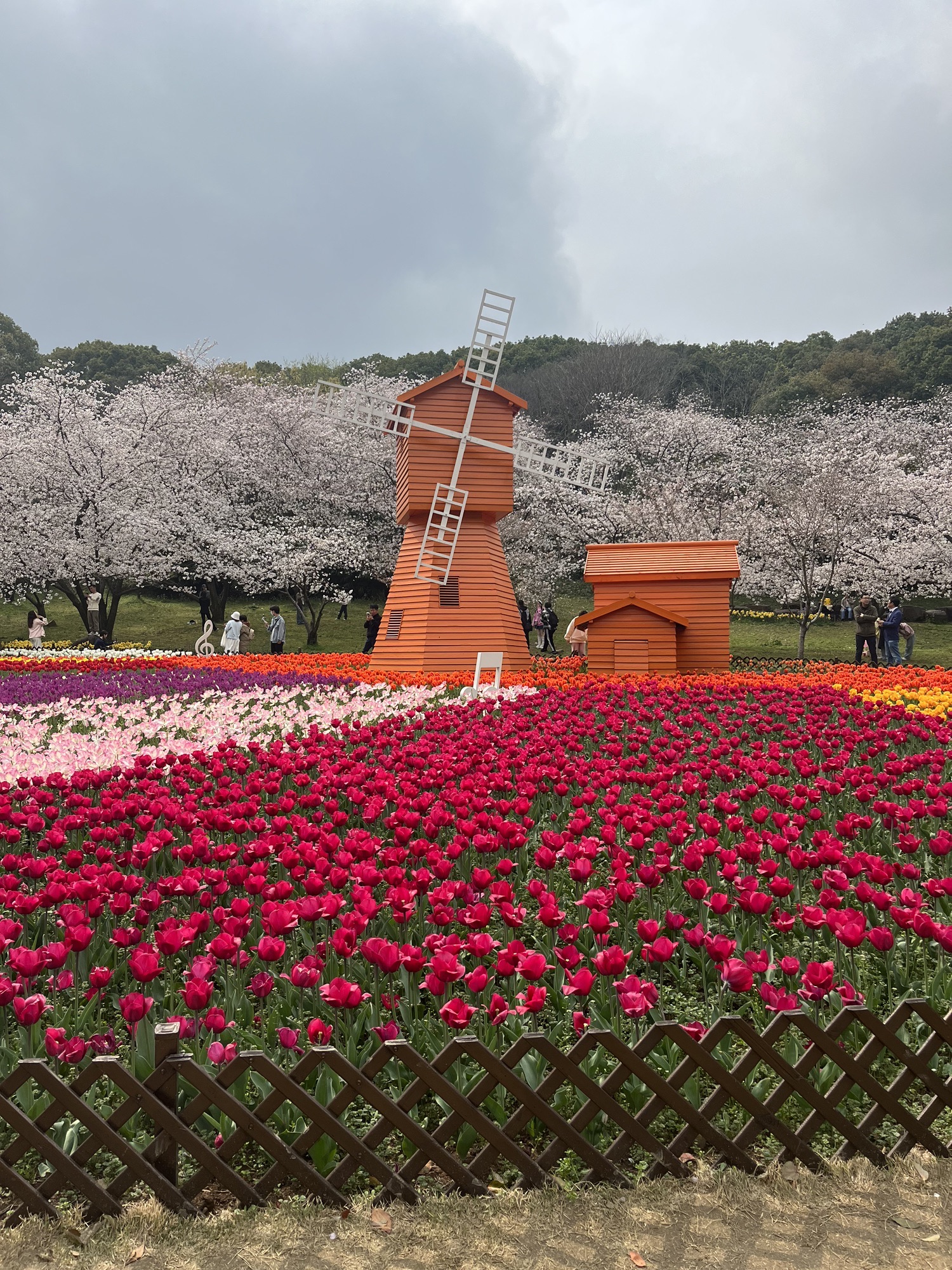 苏州上方山国家森林公园旅行图片 1