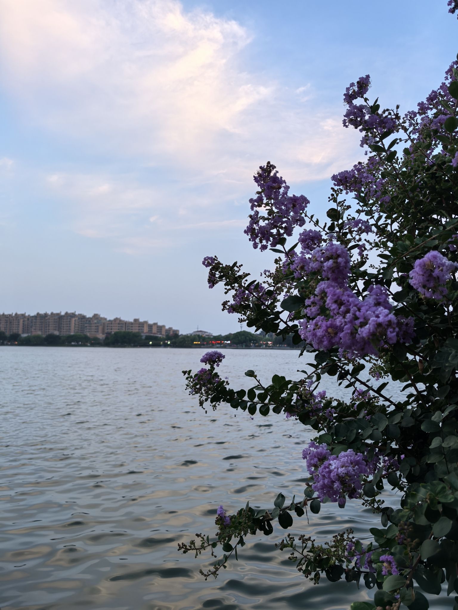大渠荡生态公园旅行图片 3