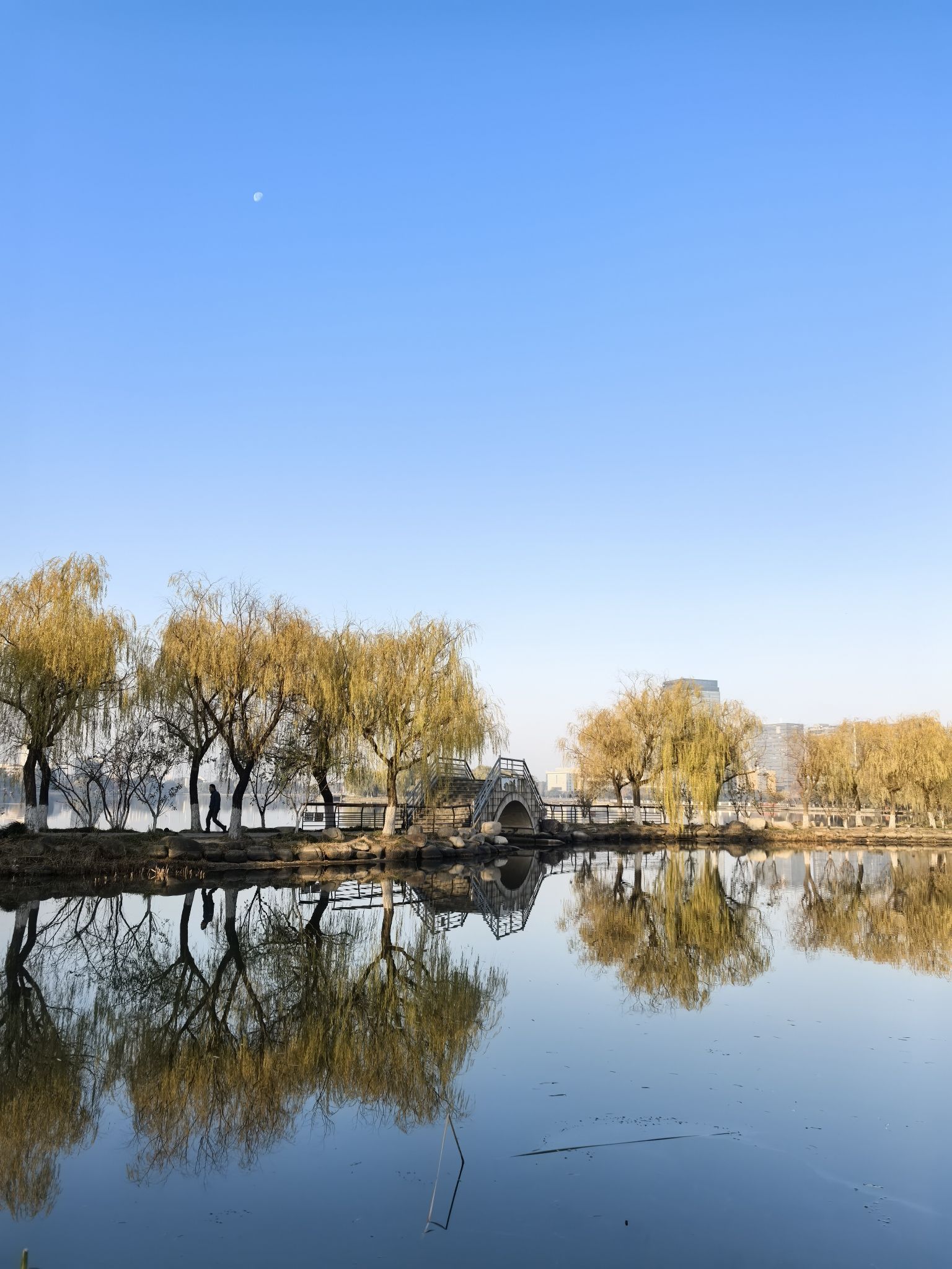 大渠荡生态公园旅行图片 2