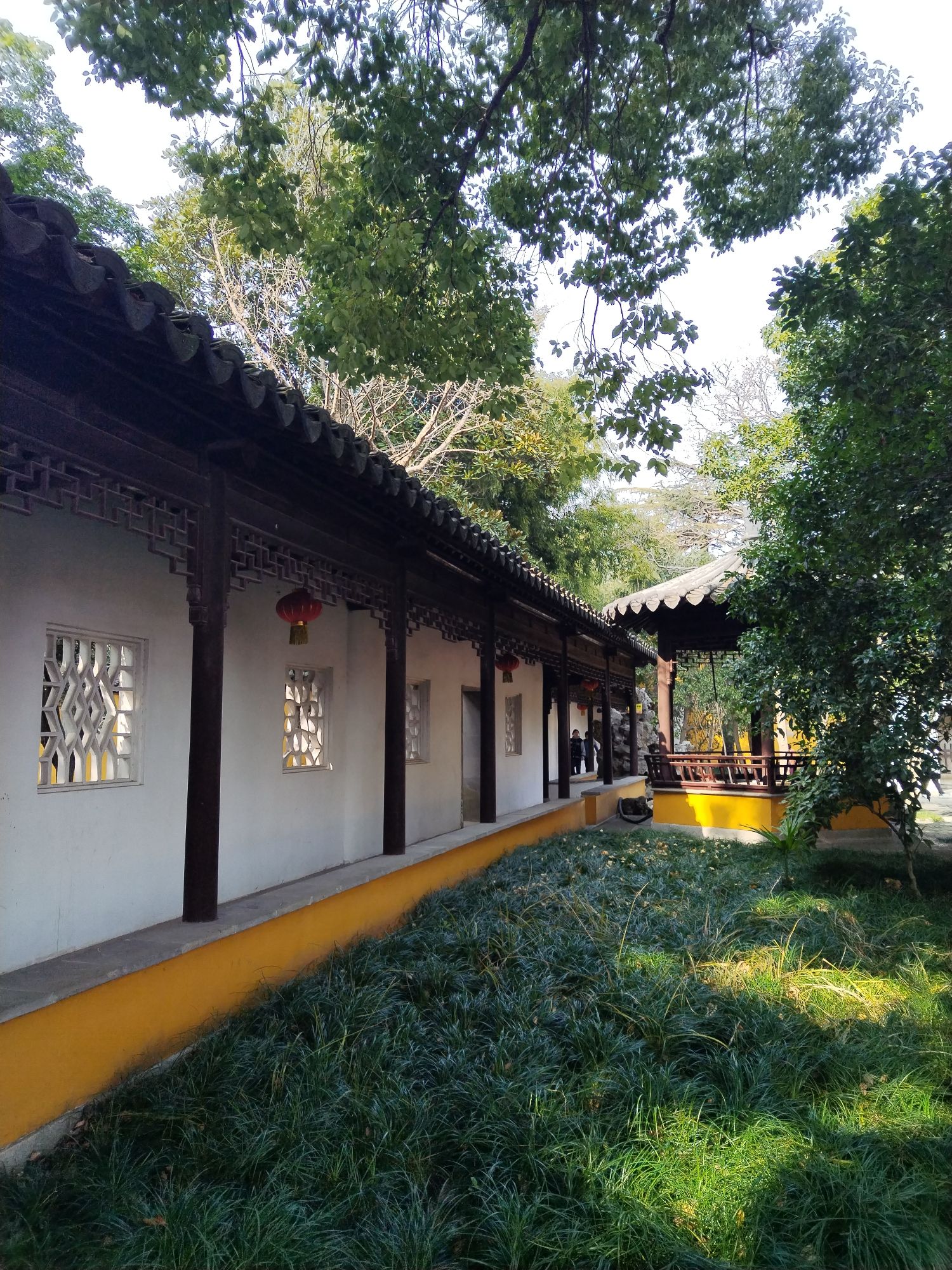 报恩寺塔旅行图片 1
