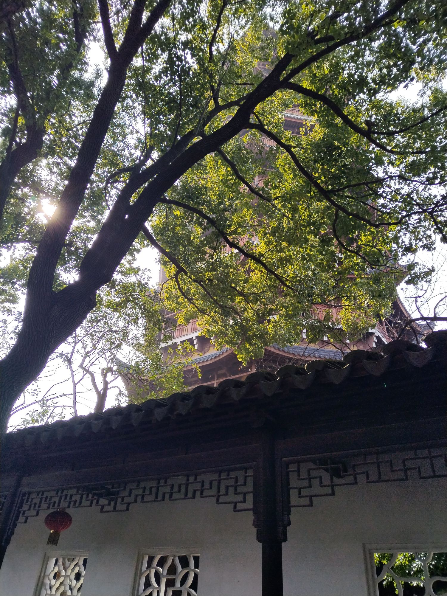 报恩寺塔旅行图片 3
