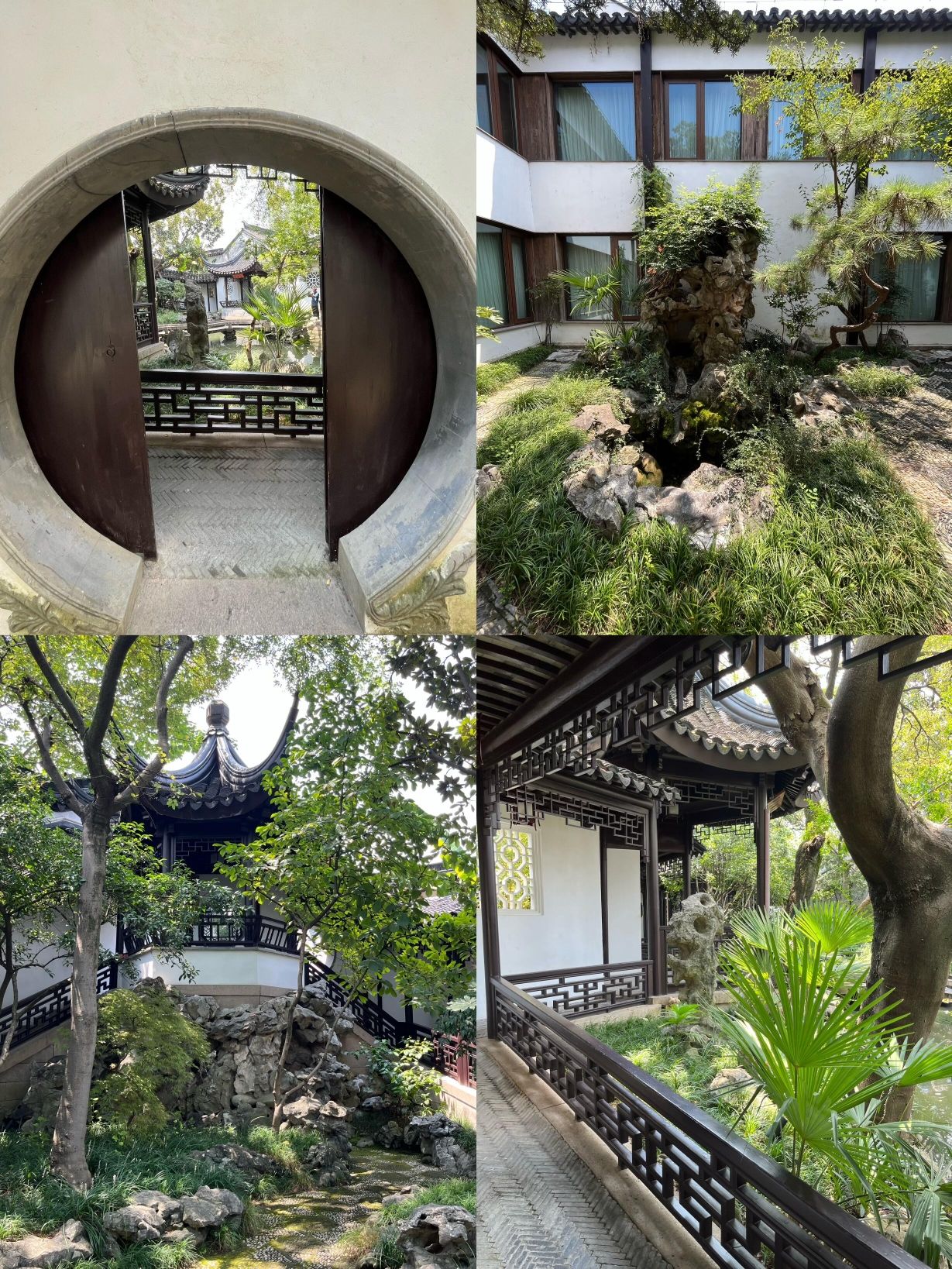 畅园旅行图片 3