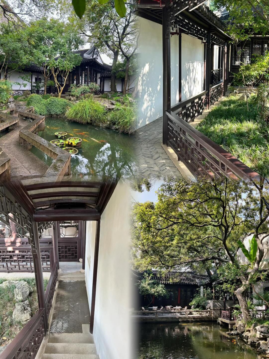 畅园旅行图片 2
