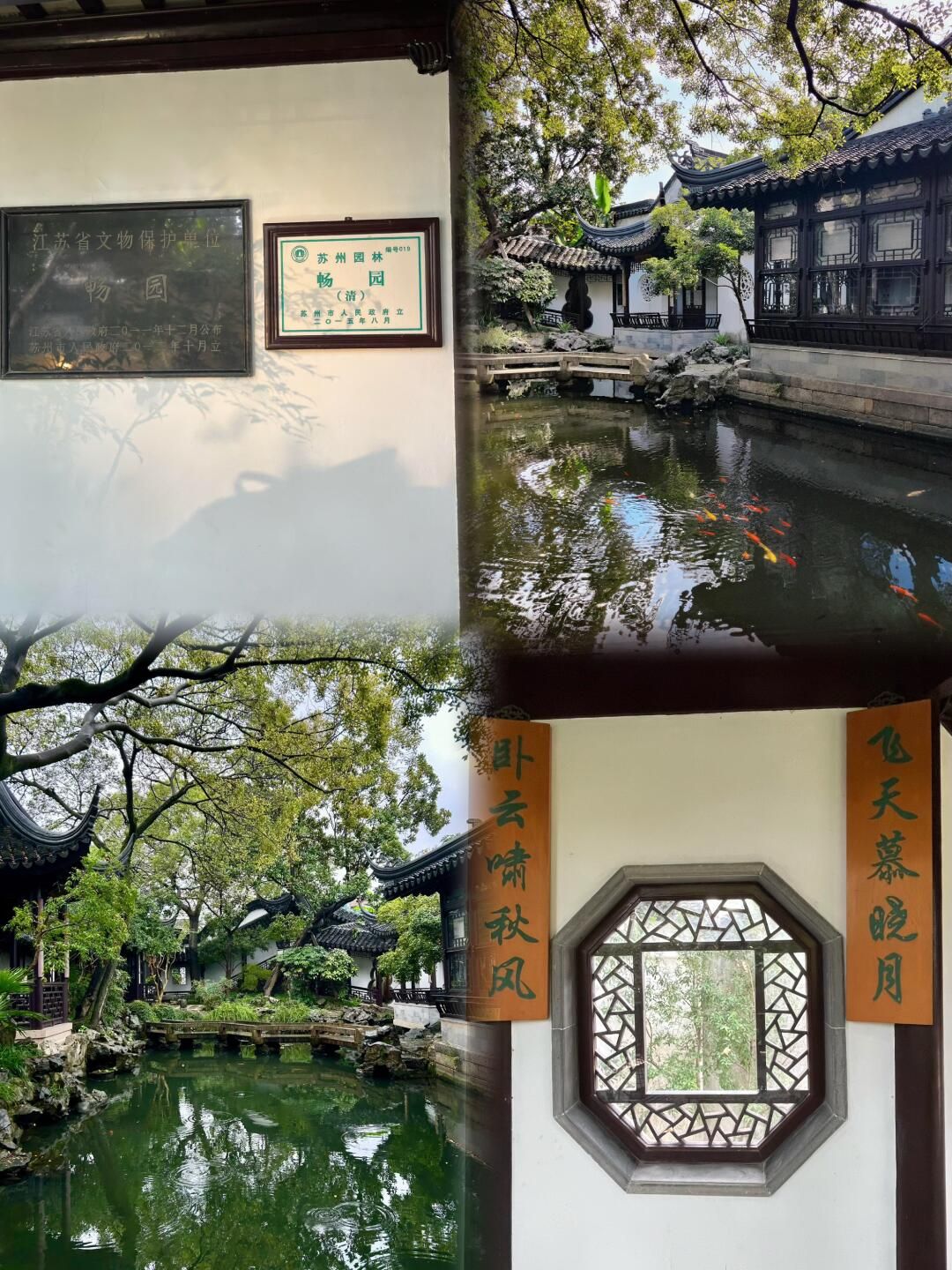 畅园旅行图片 3