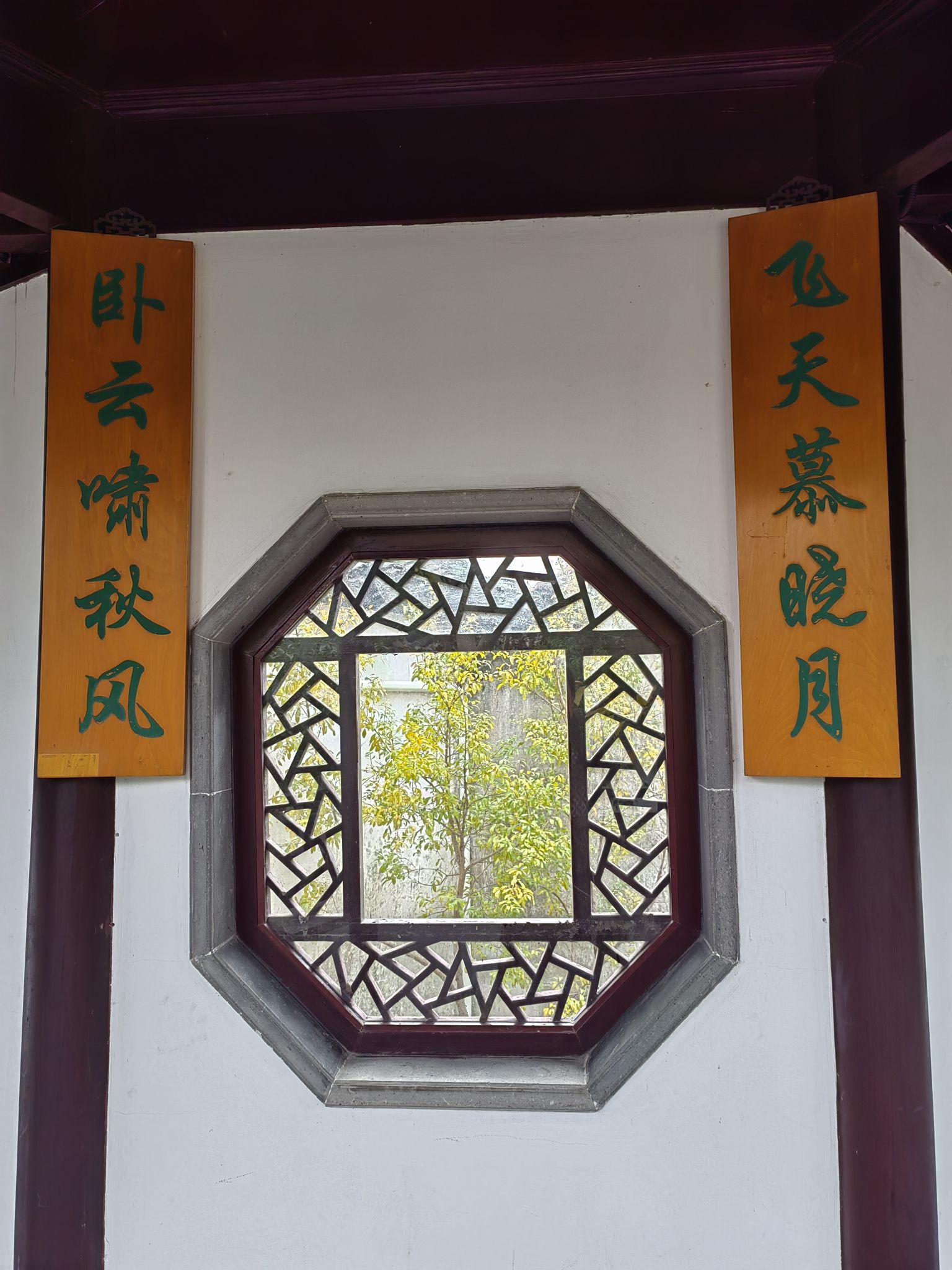 畅园旅行图片 3