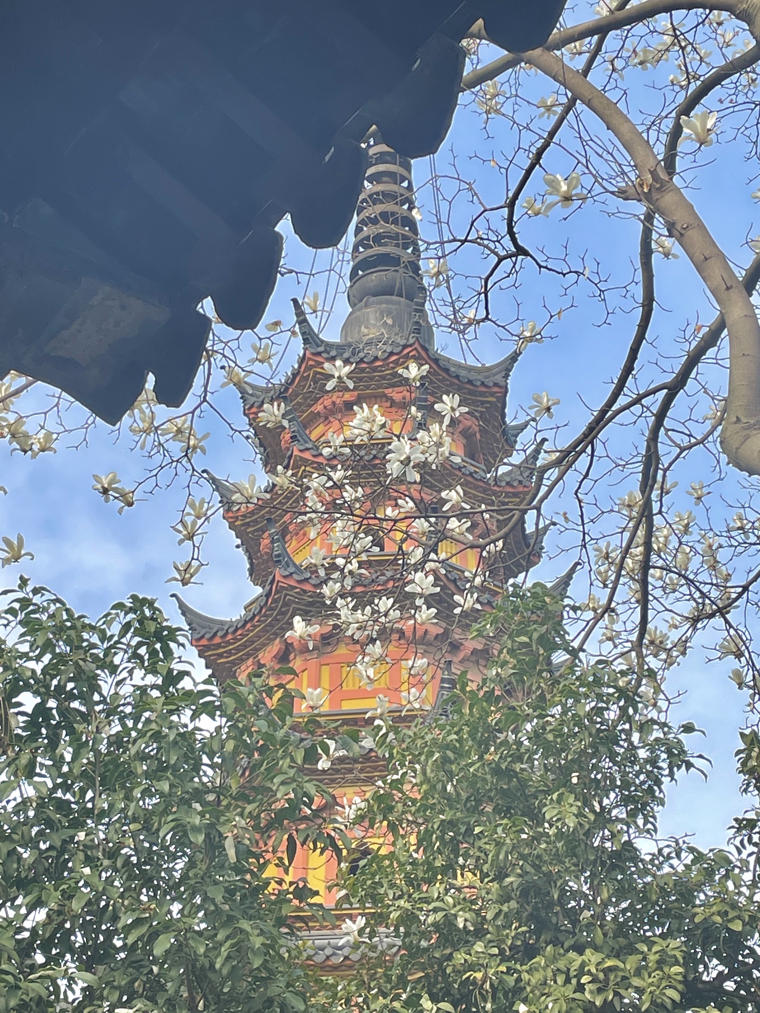 罗汉院双塔及正殿遗址旅行图片 3