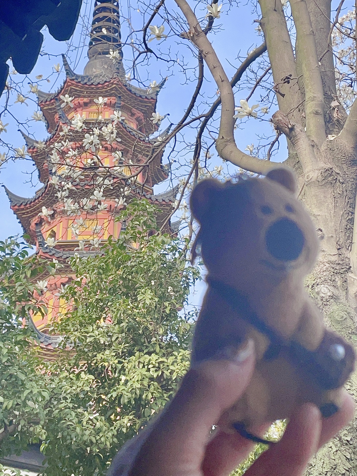 罗汉院双塔及正殿遗址旅行图片 2