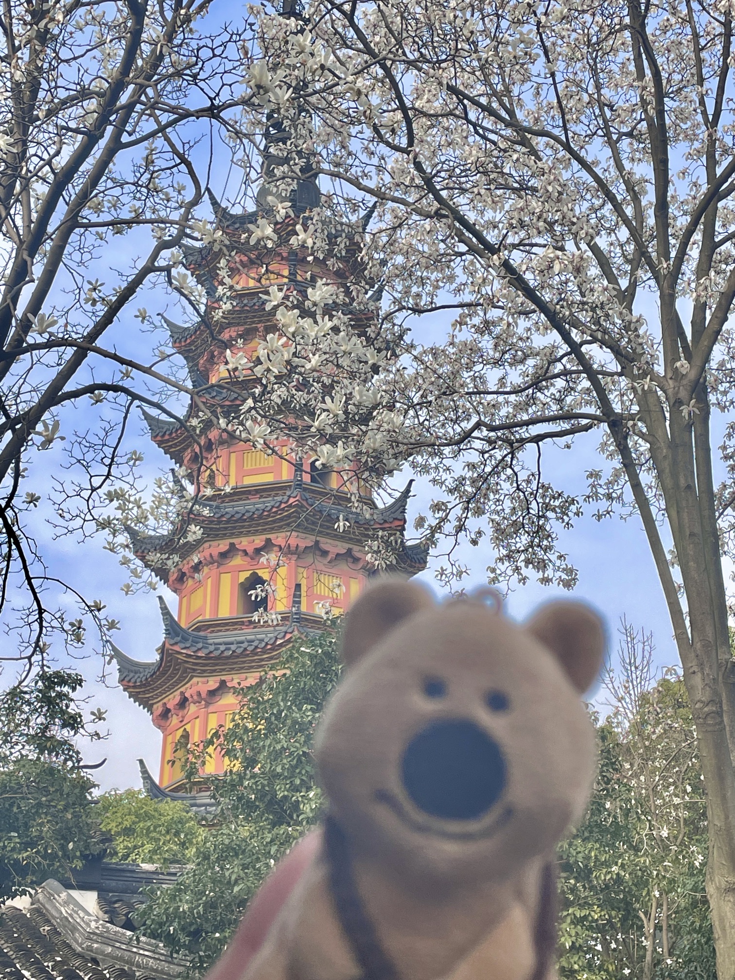 罗汉院双塔及正殿遗址旅行图片