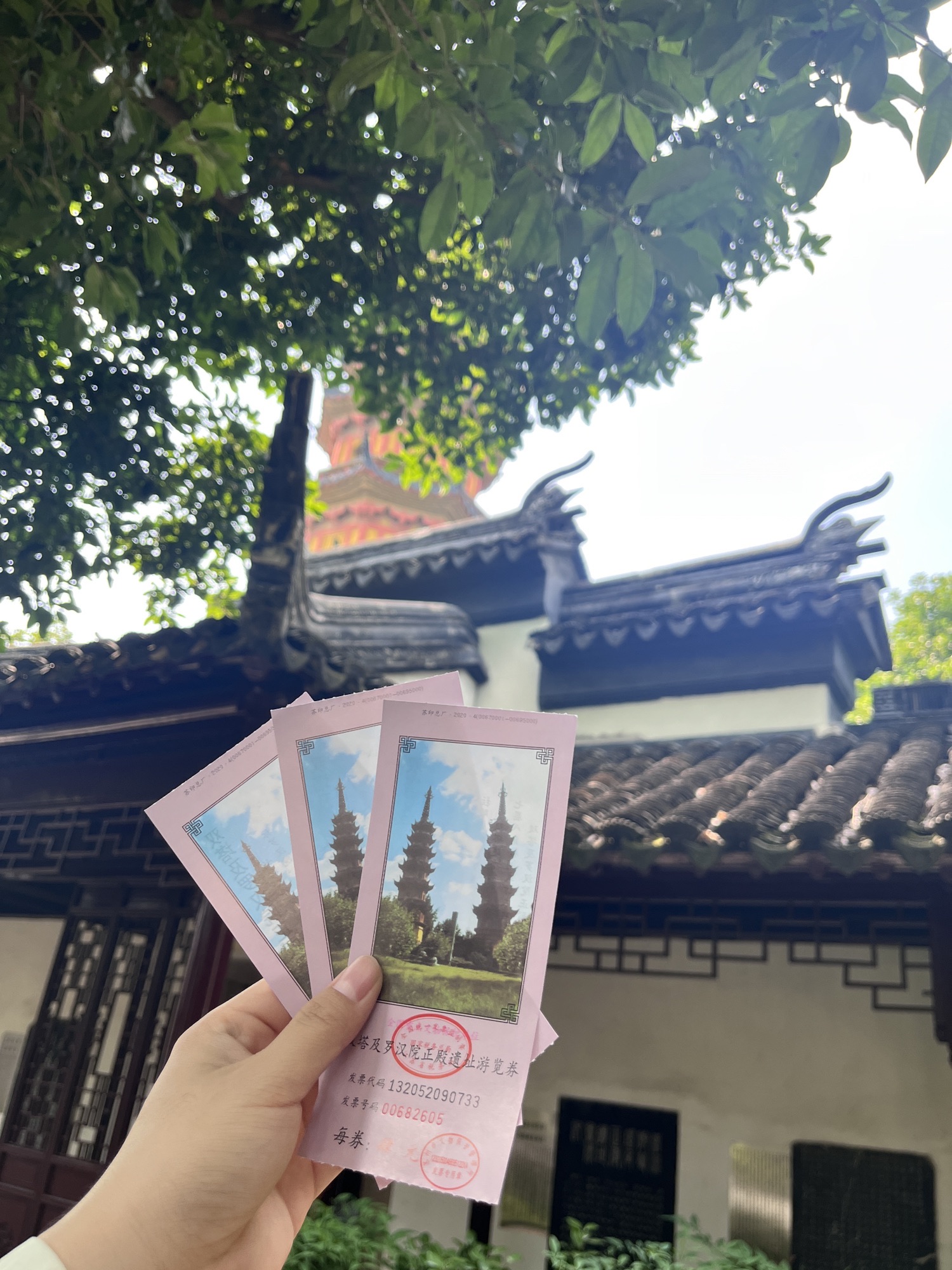 罗汉院双塔及正殿遗址旅行图片 1