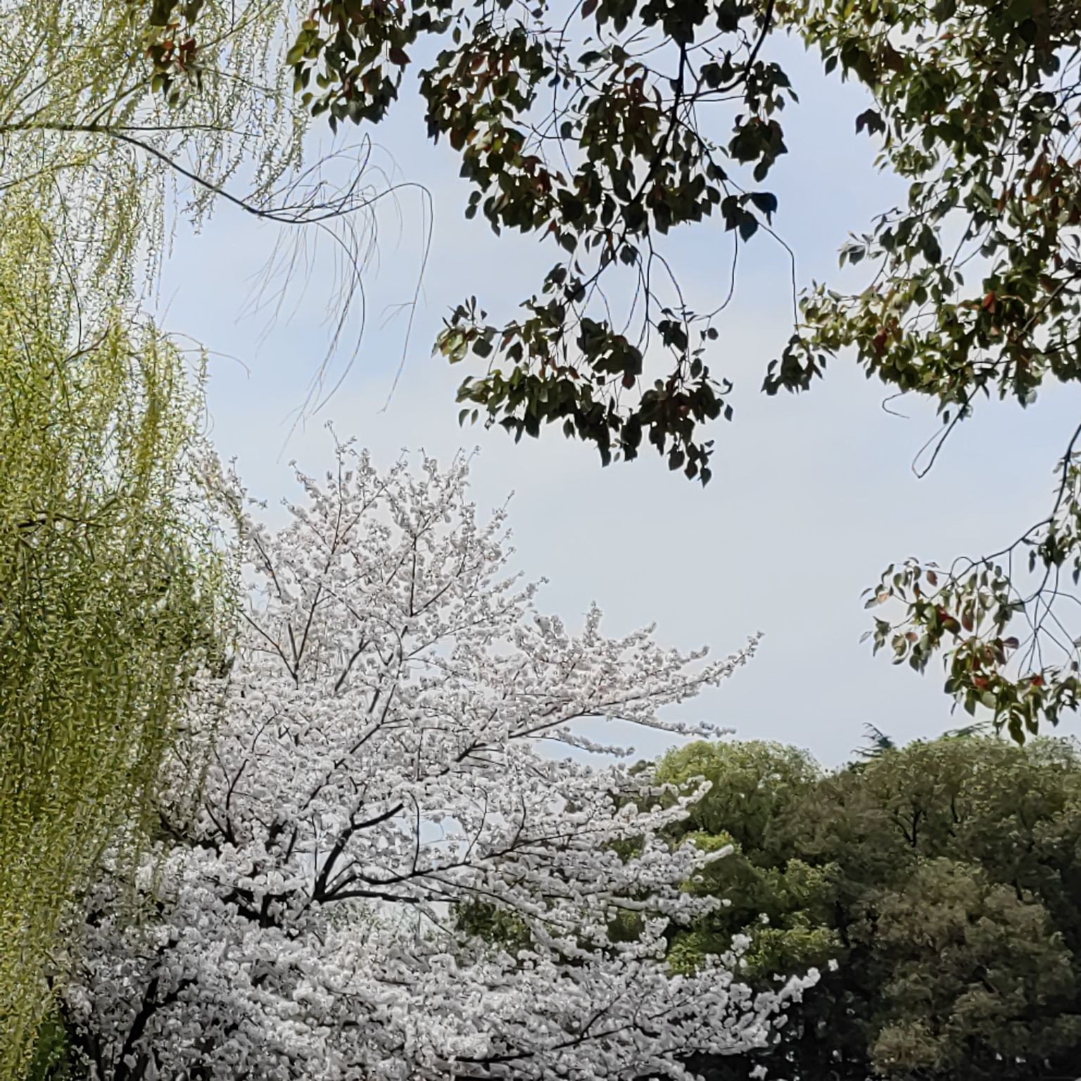 东园旅行图片 2