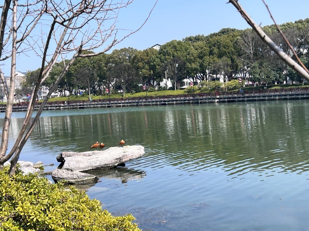 东园旅行图片 2