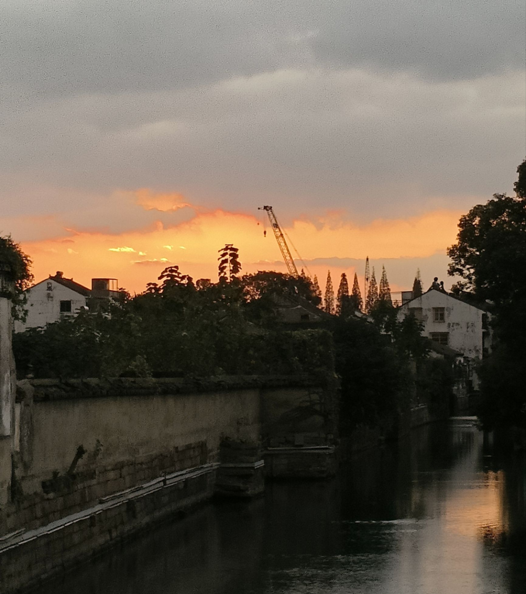 东园旅行图片 3