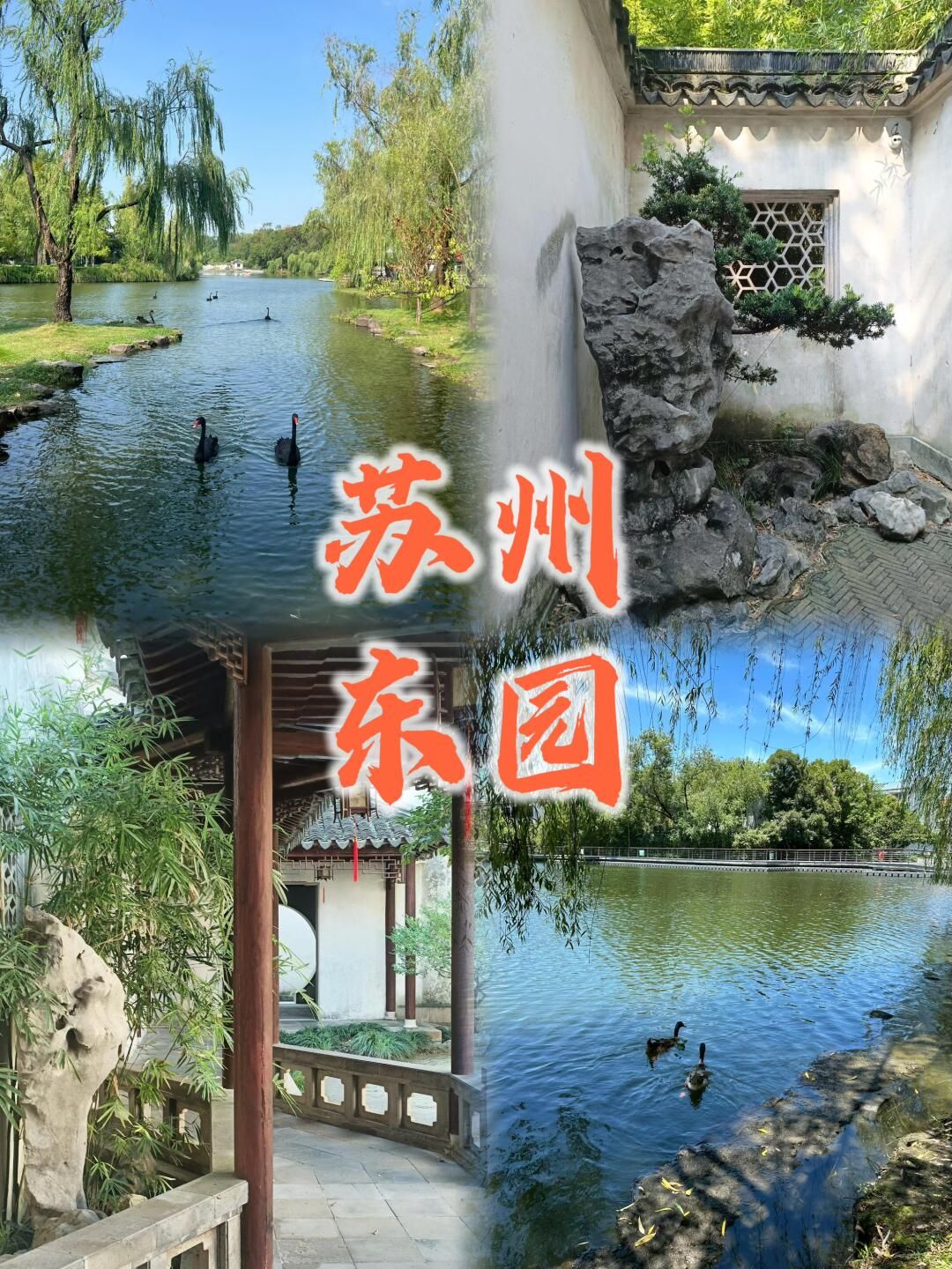 东园旅行图片 1