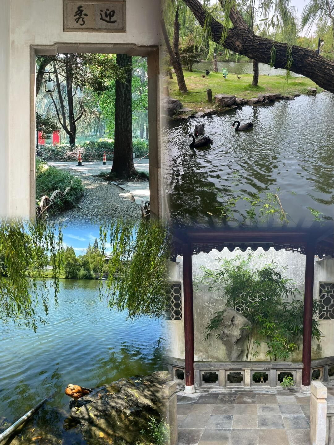 东园旅行图片 3