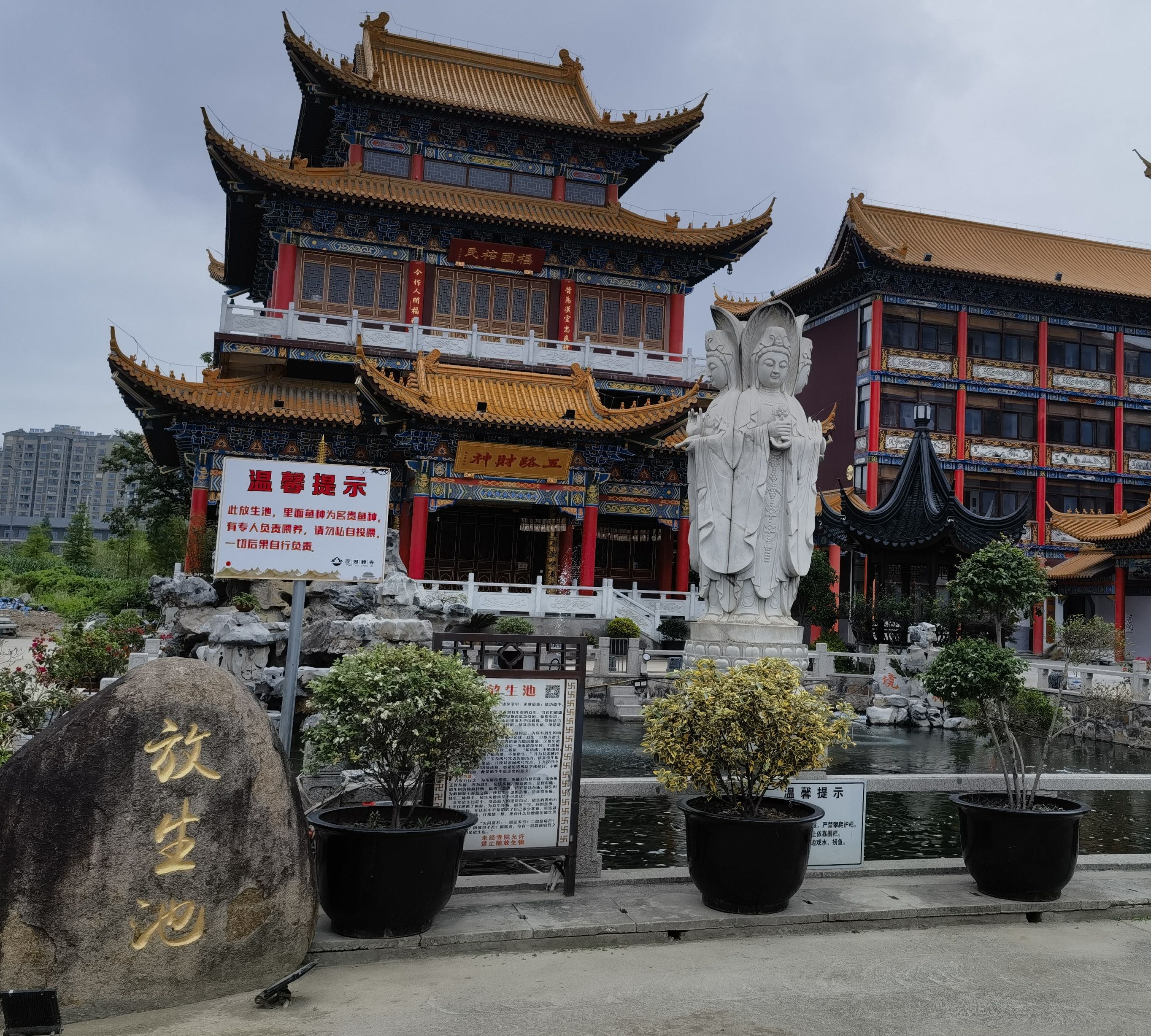 迎湖公园旅行图片 1