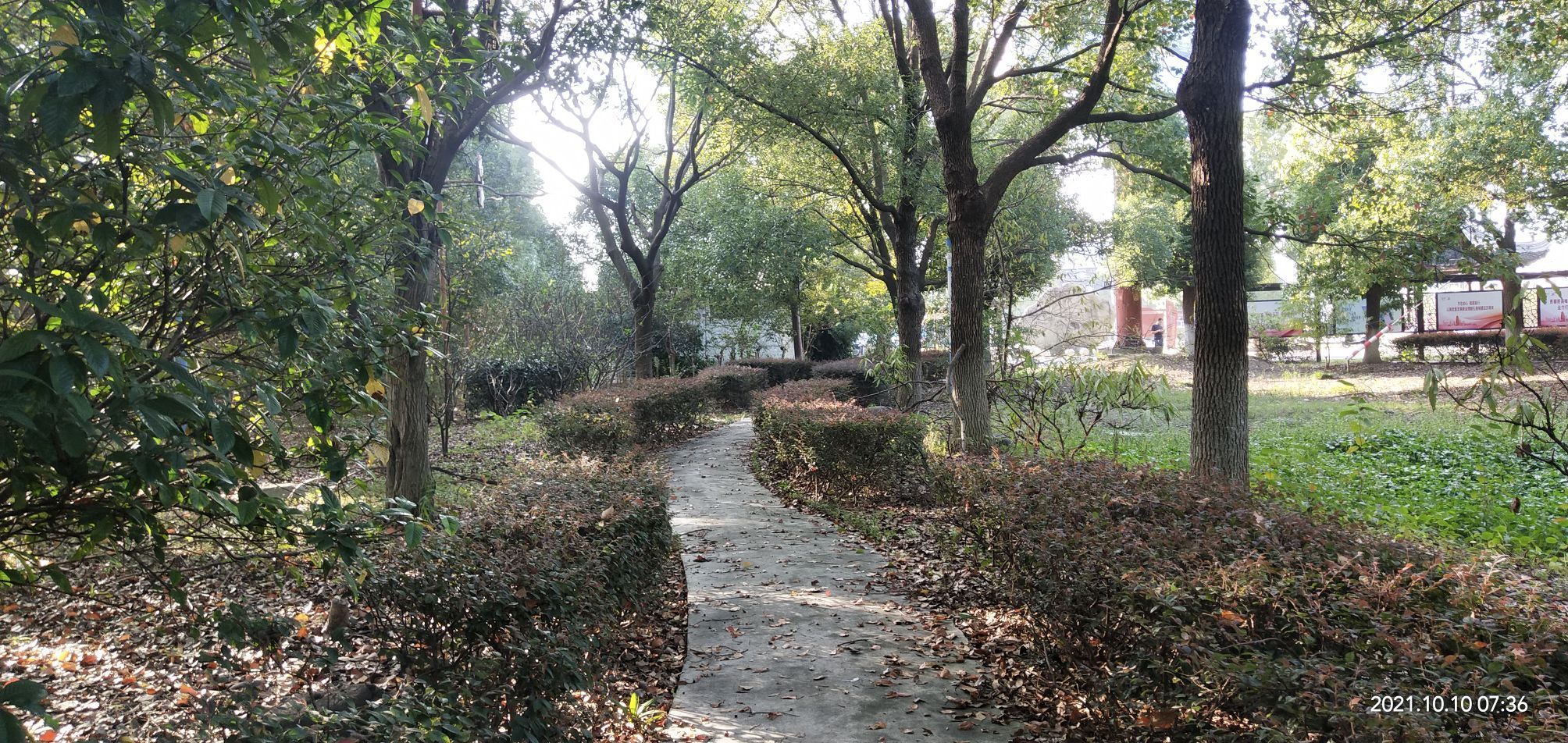 迎湖公园旅行图片 2