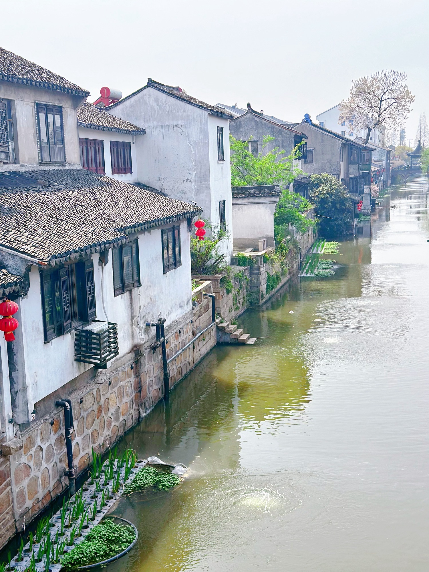沙溪古镇旅行图片 1