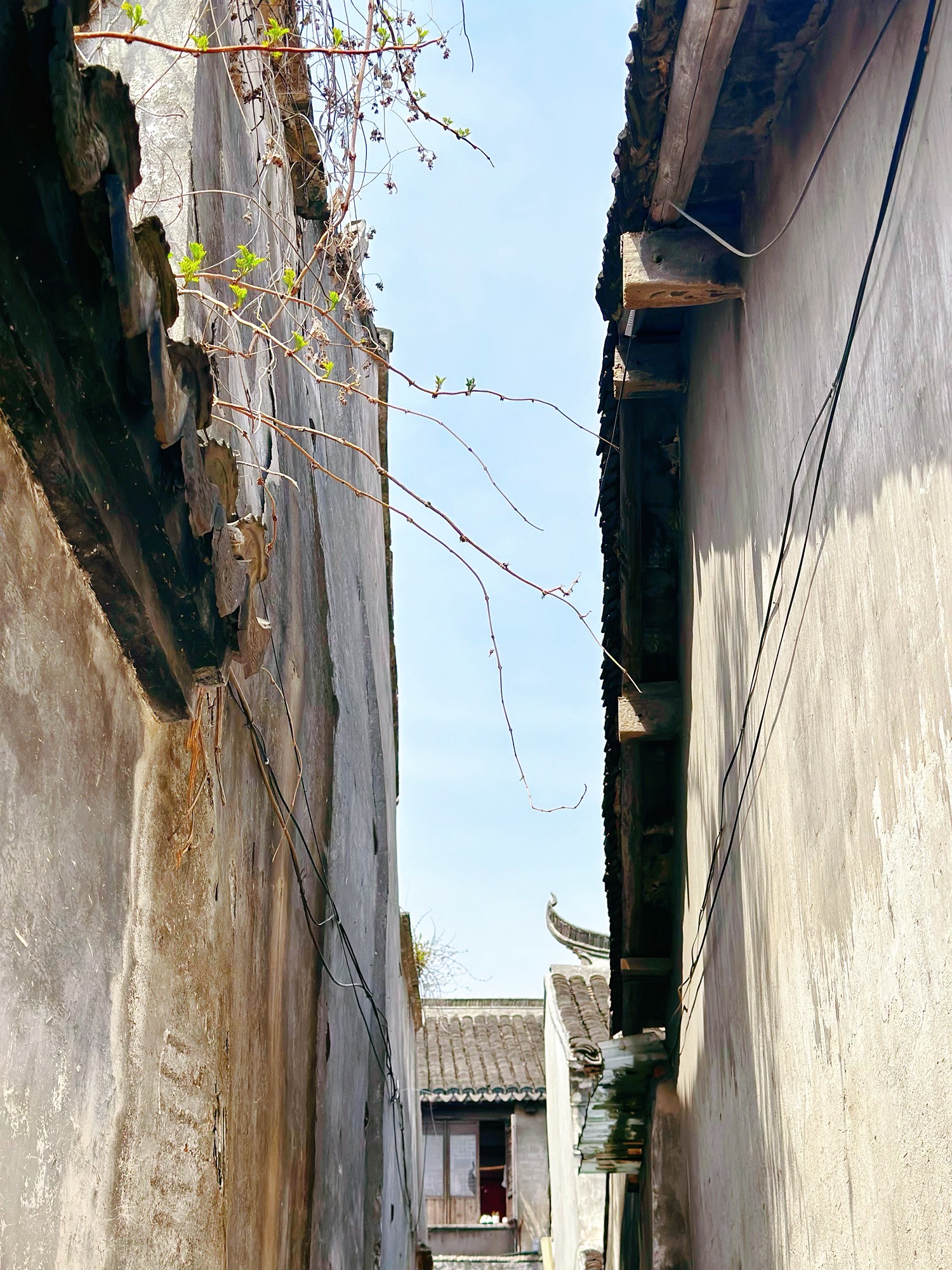 沙溪古镇旅行图片 3