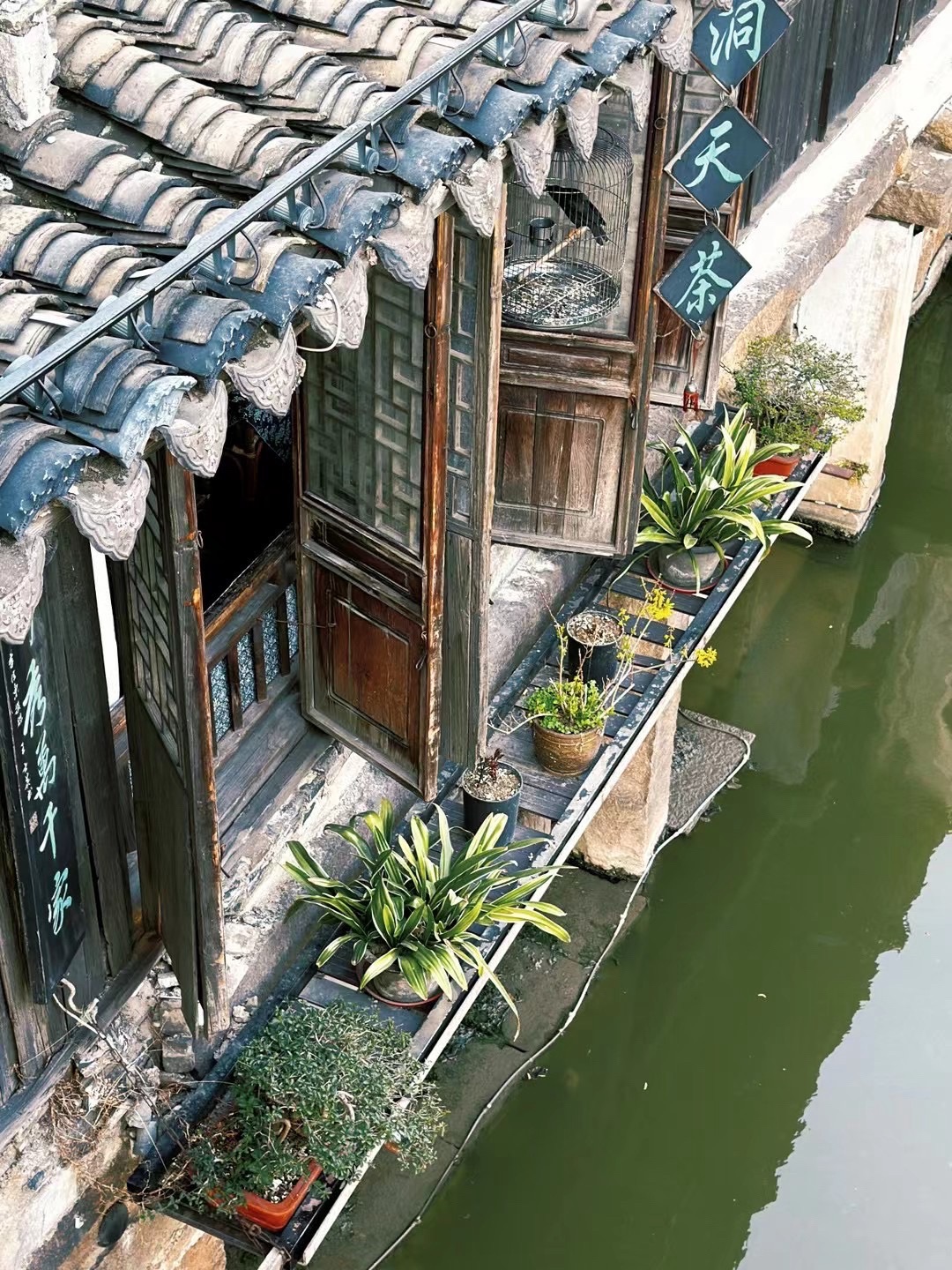 沙溪古镇旅行图片 2