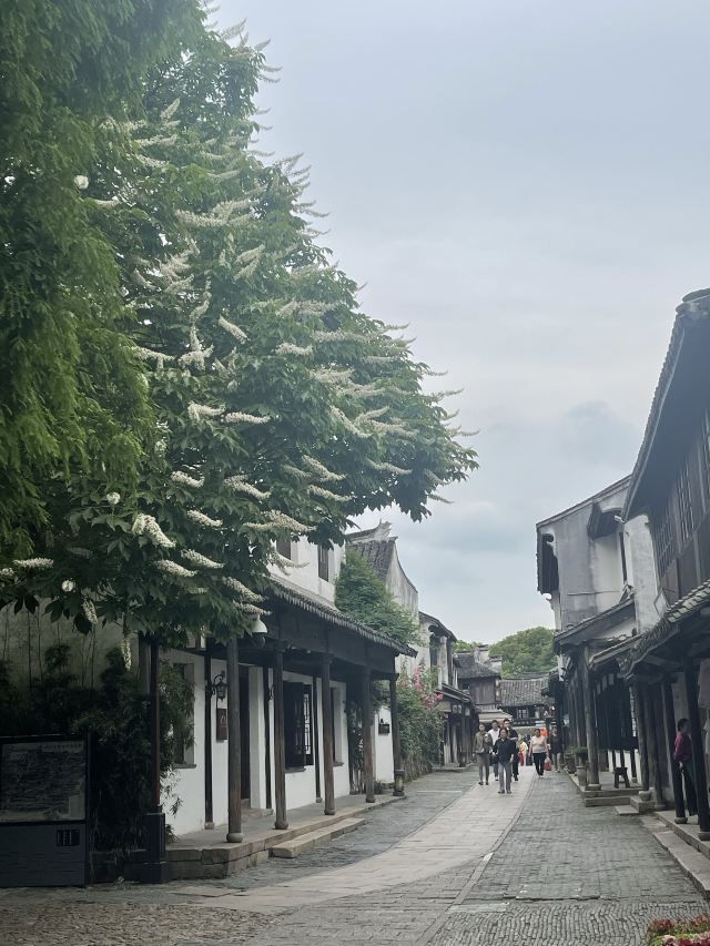 周庄古镇旅行图片 3