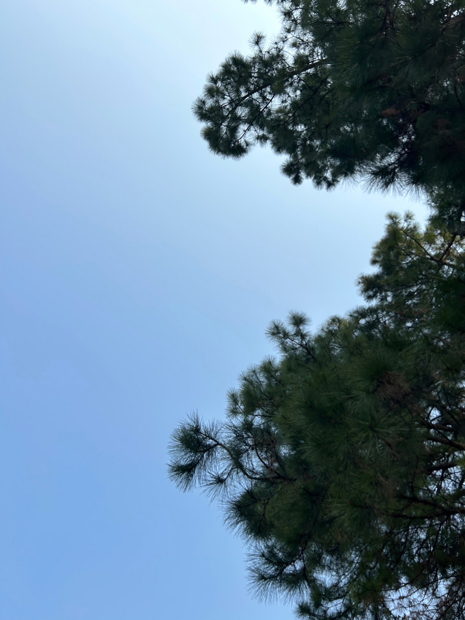 白塘生态植物园旅行图片 2