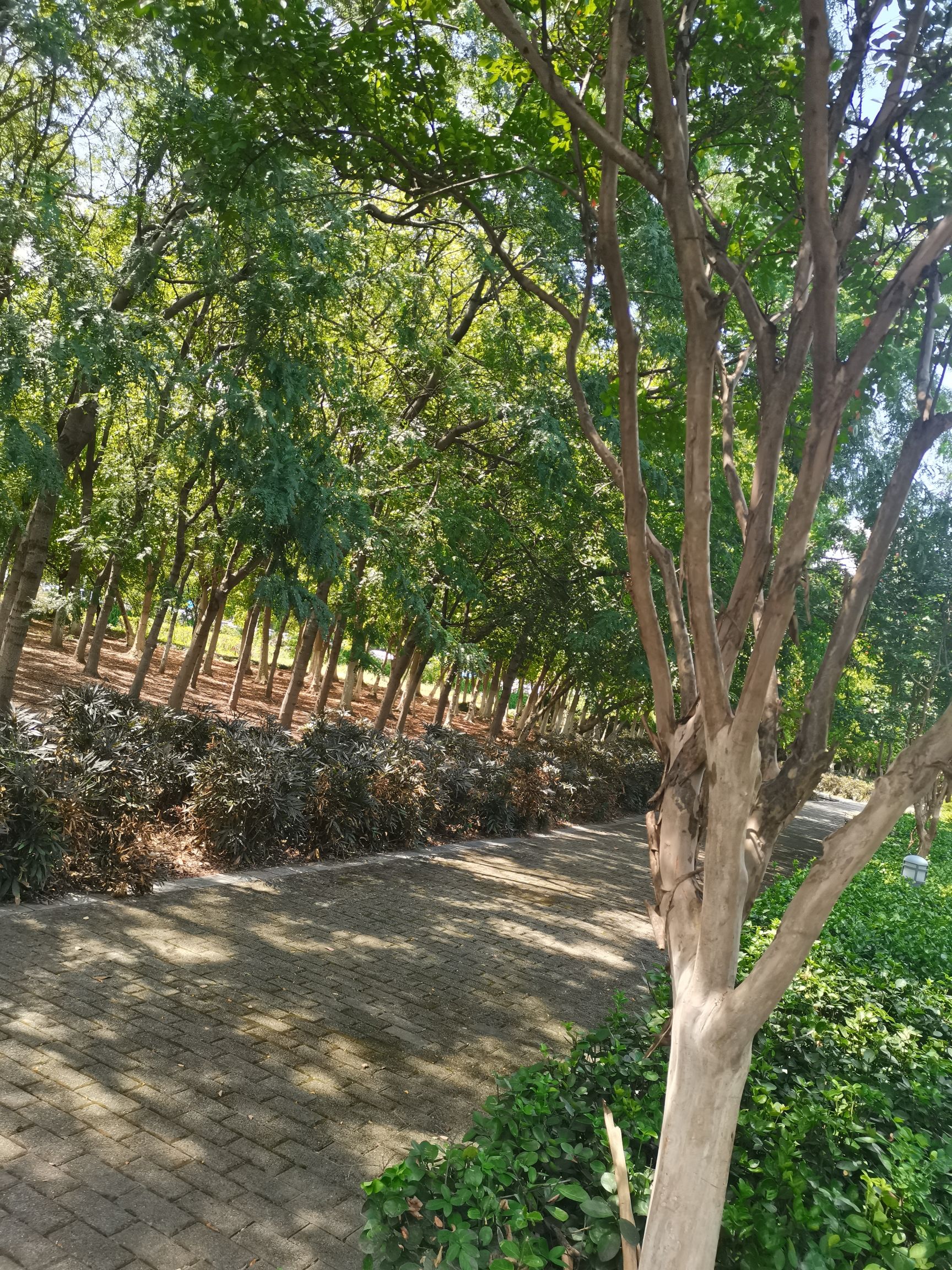 白塘生态植物园旅行图片 2