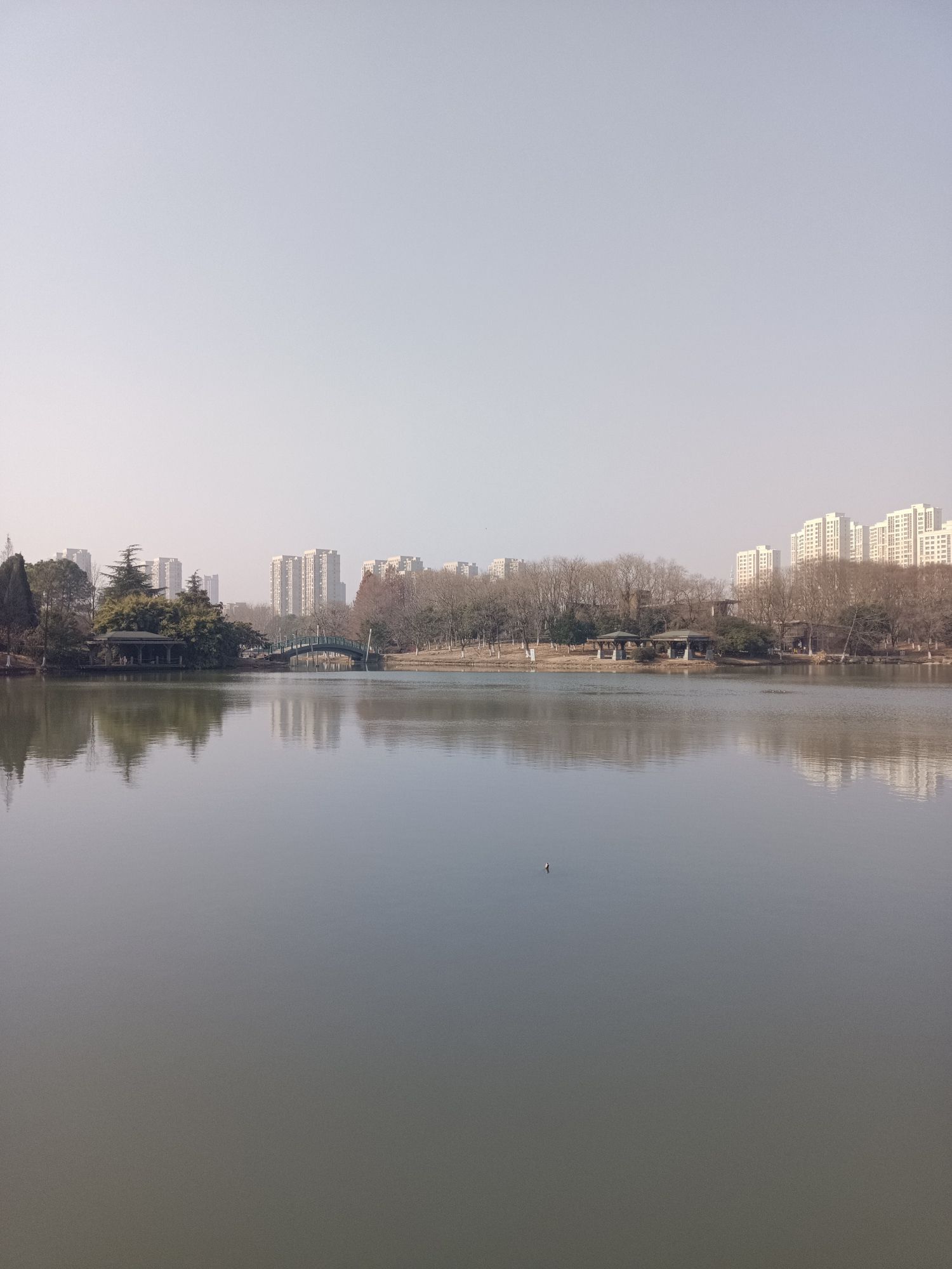 白塘生态植物园旅行图片 3