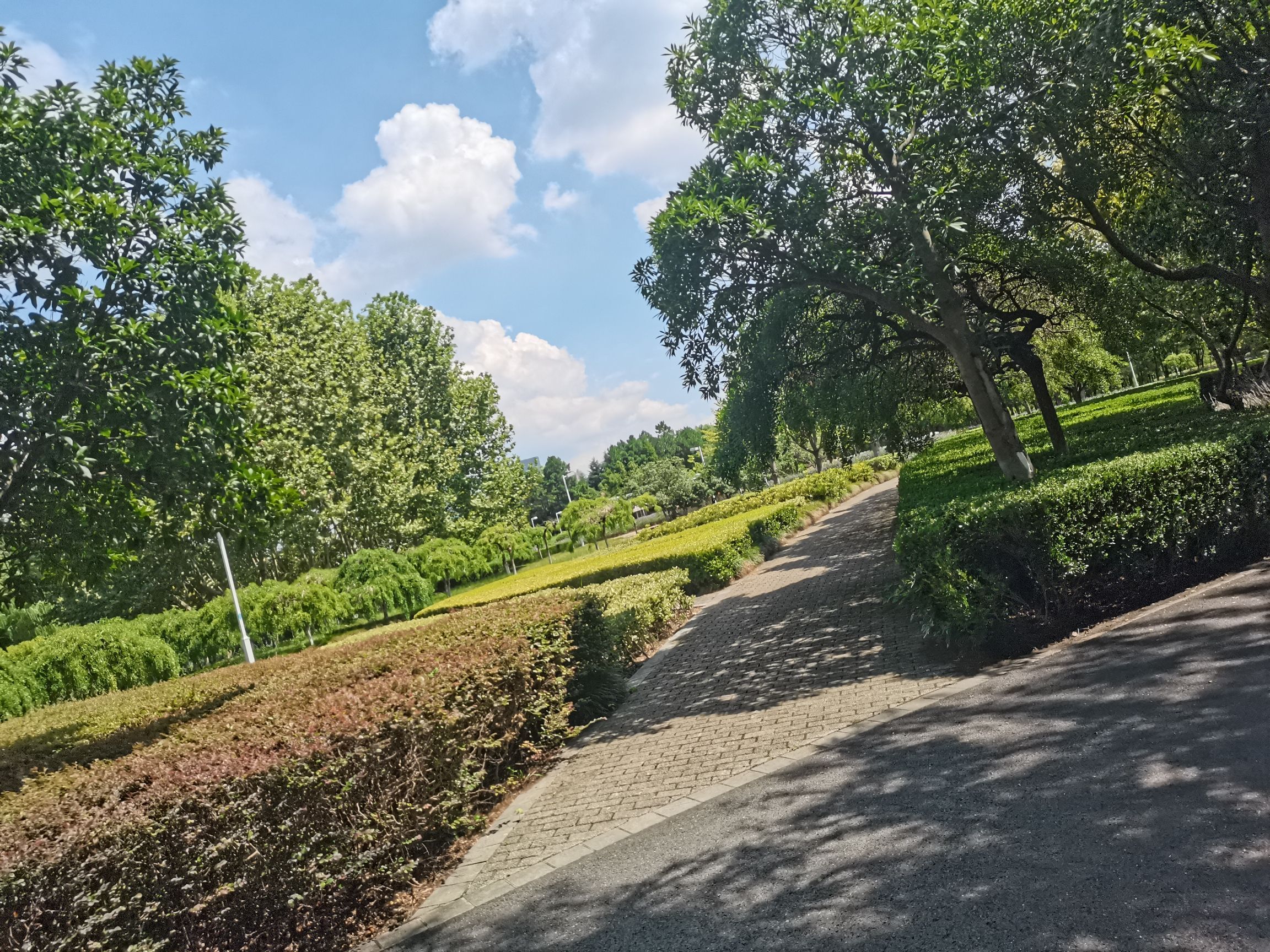 白塘生态植物园旅行图片 1