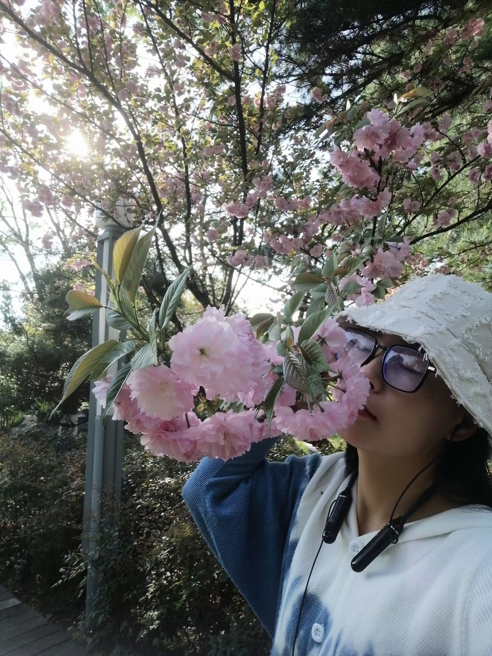 白塘生态植物园旅行图片 1