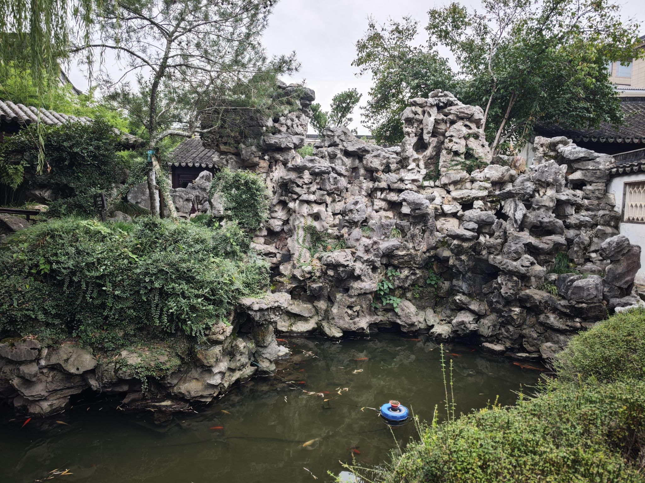燕园旅行图片 2
