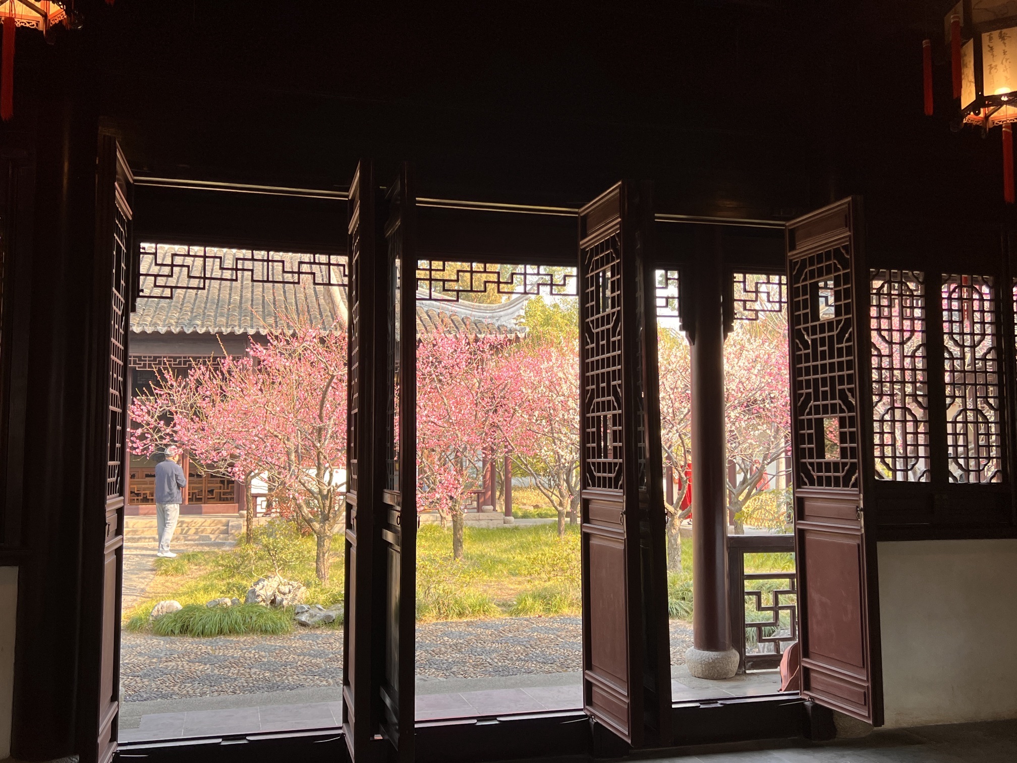 可园旅行图片 2