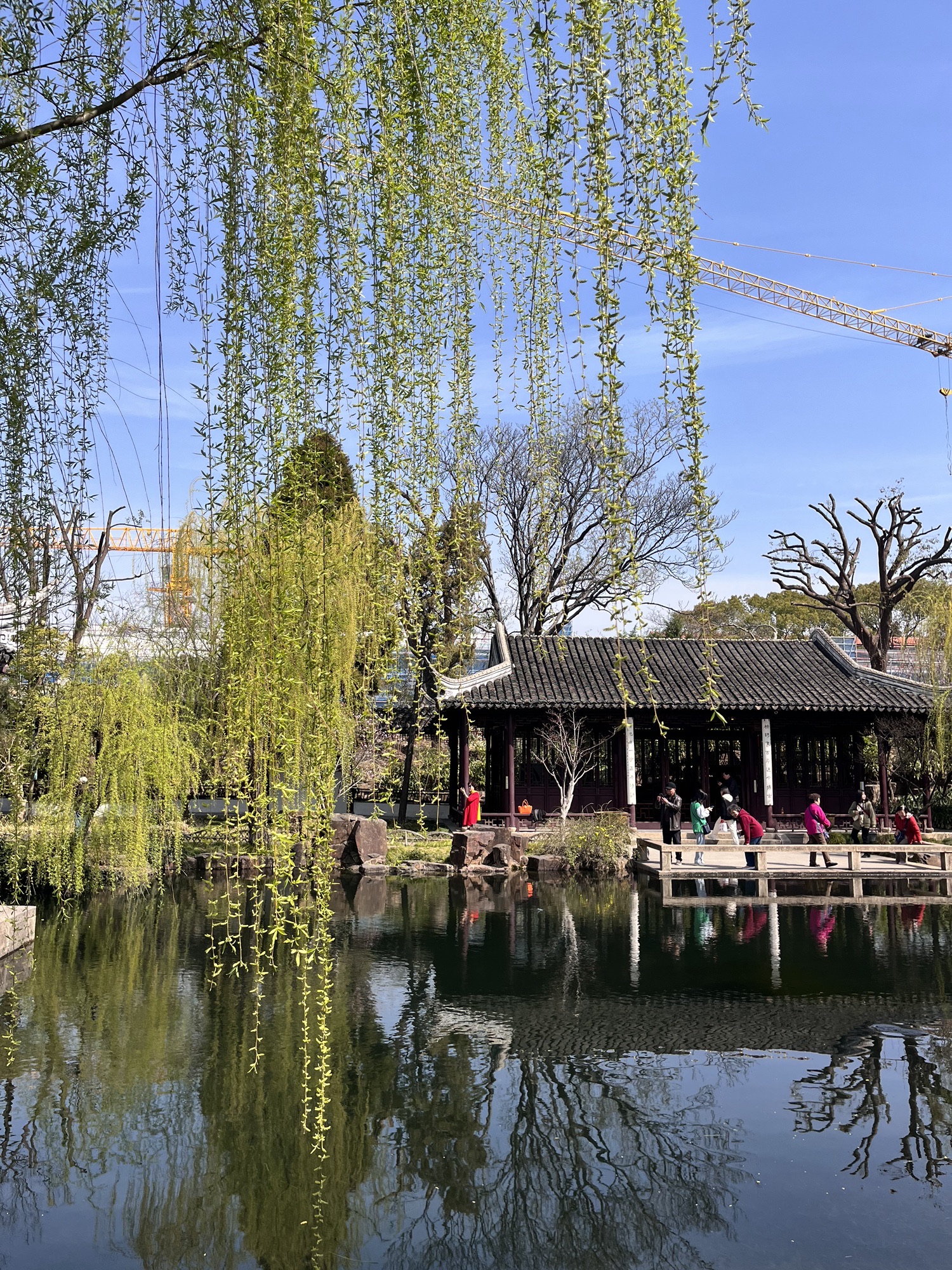 可园旅行图片 1