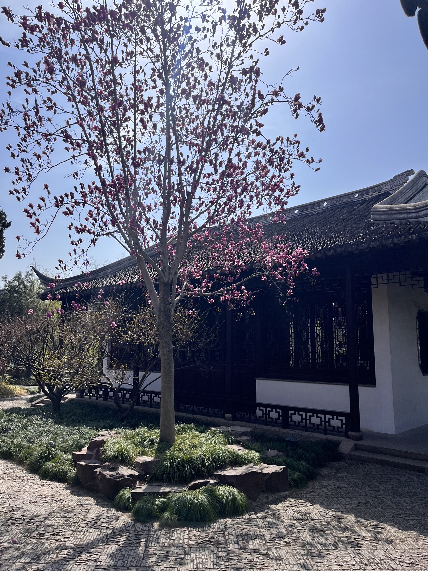可园旅行图片 3