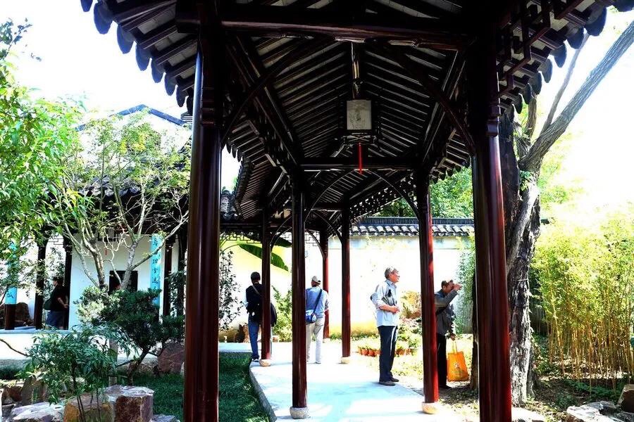 可园旅行图片 3