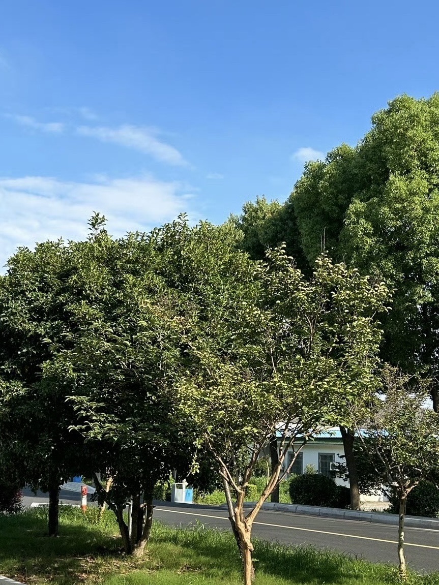 漕湖湿地公园旅行图片 3