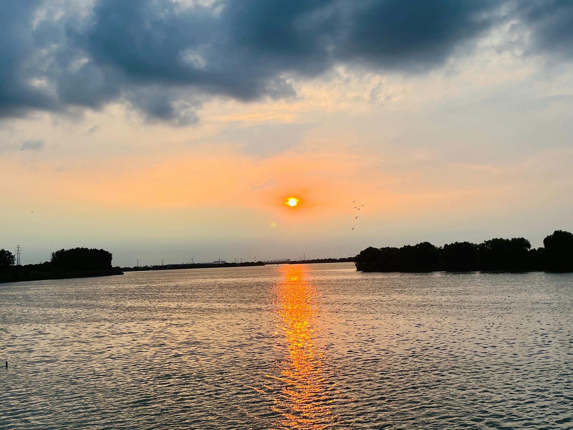 漕湖湿地公园旅行图片 1