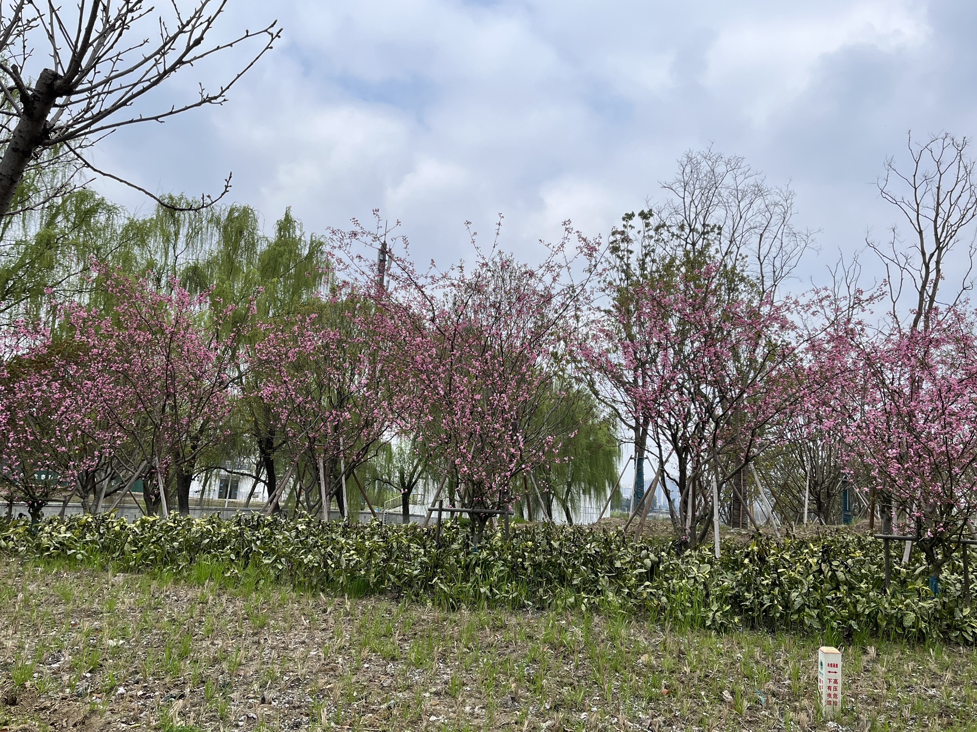 漕湖湿地公园旅行图片 3