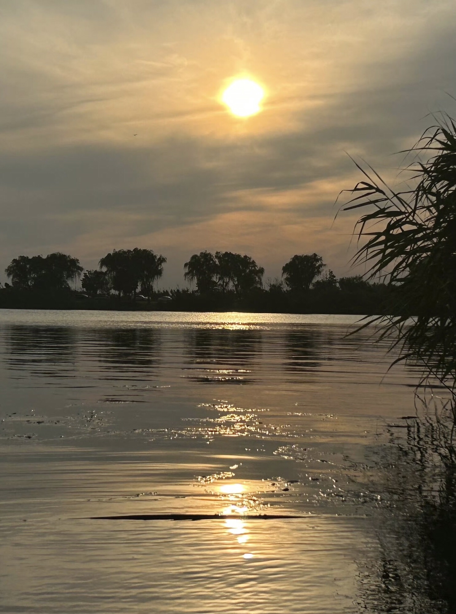 漕湖湿地公园旅行图片 1