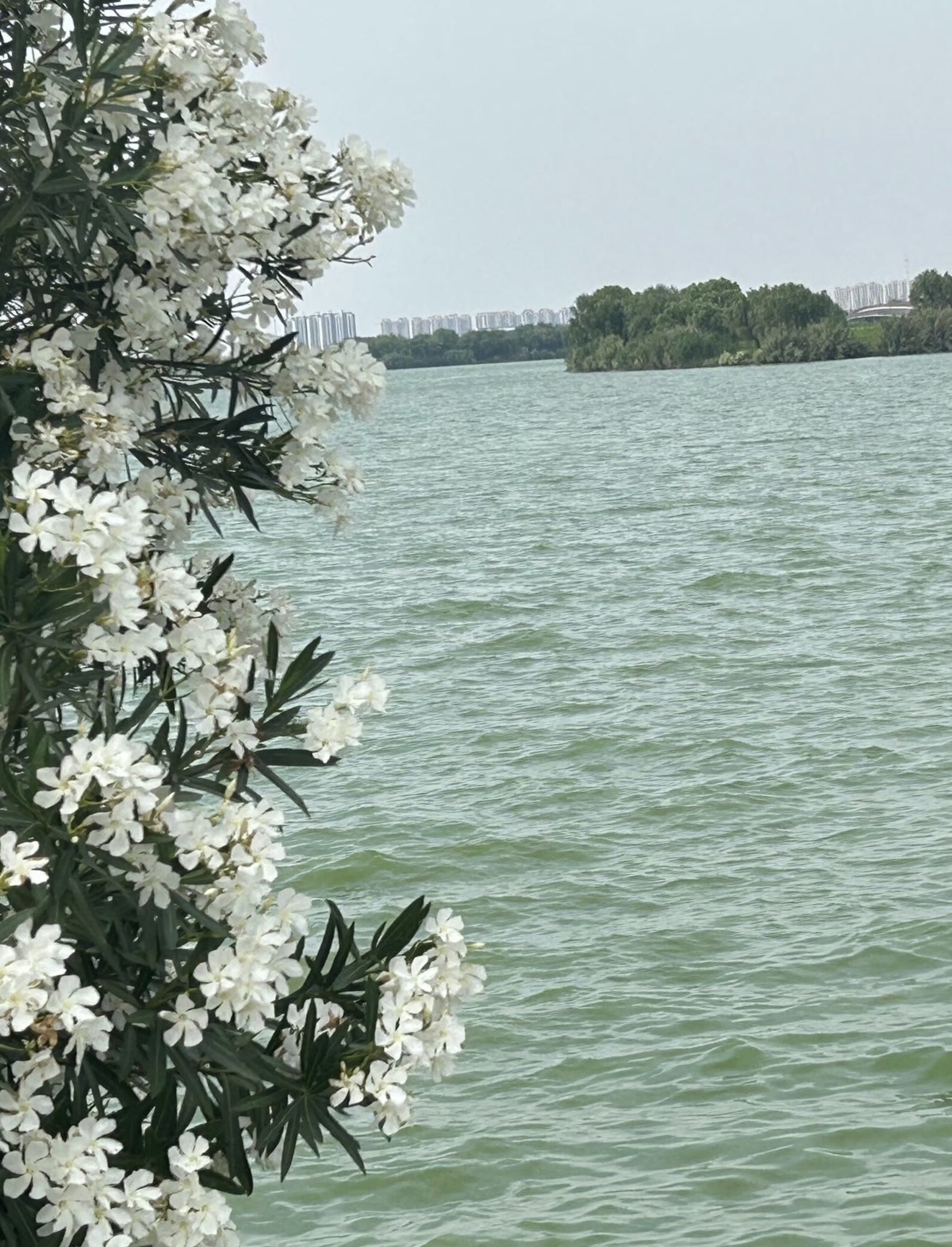 漕湖湿地公园旅行图片 3