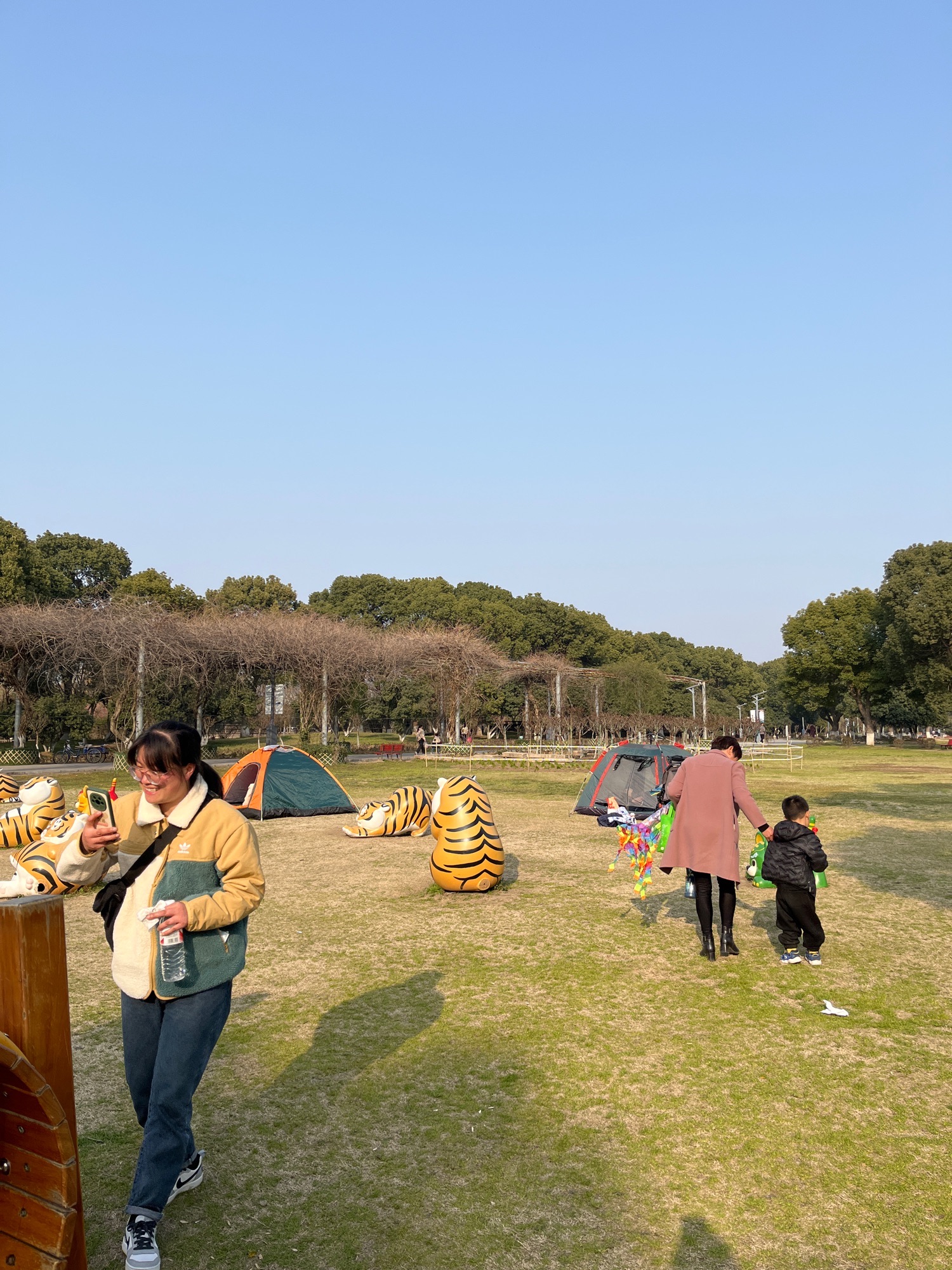 盛泽湖景区旅行图片 3