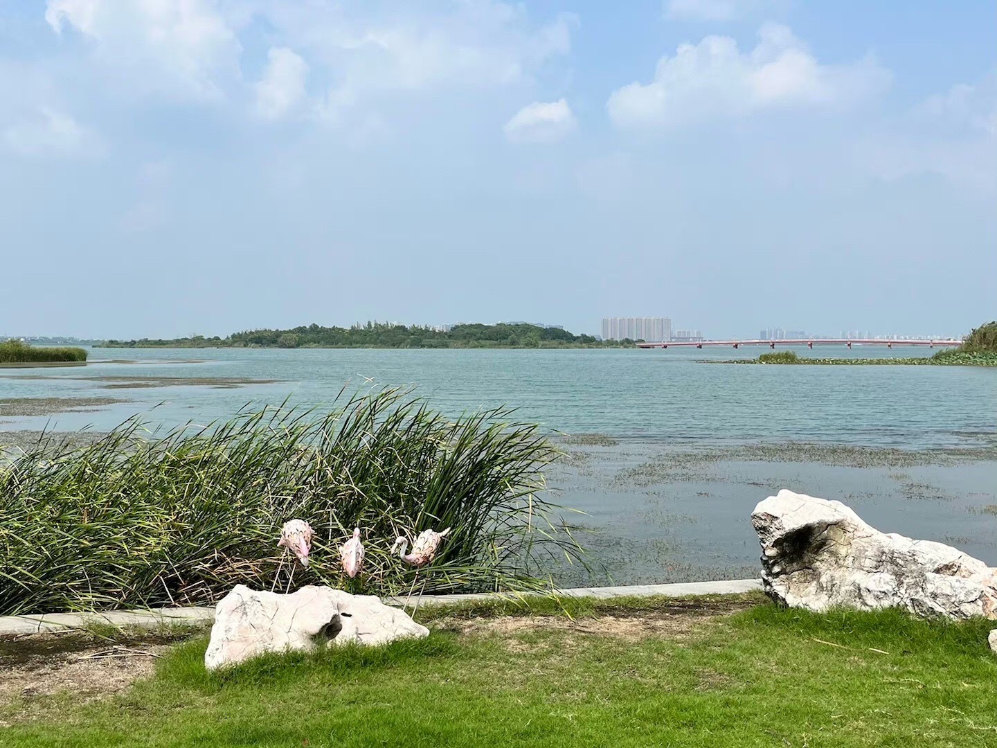 盛泽湖景区旅行图片 1