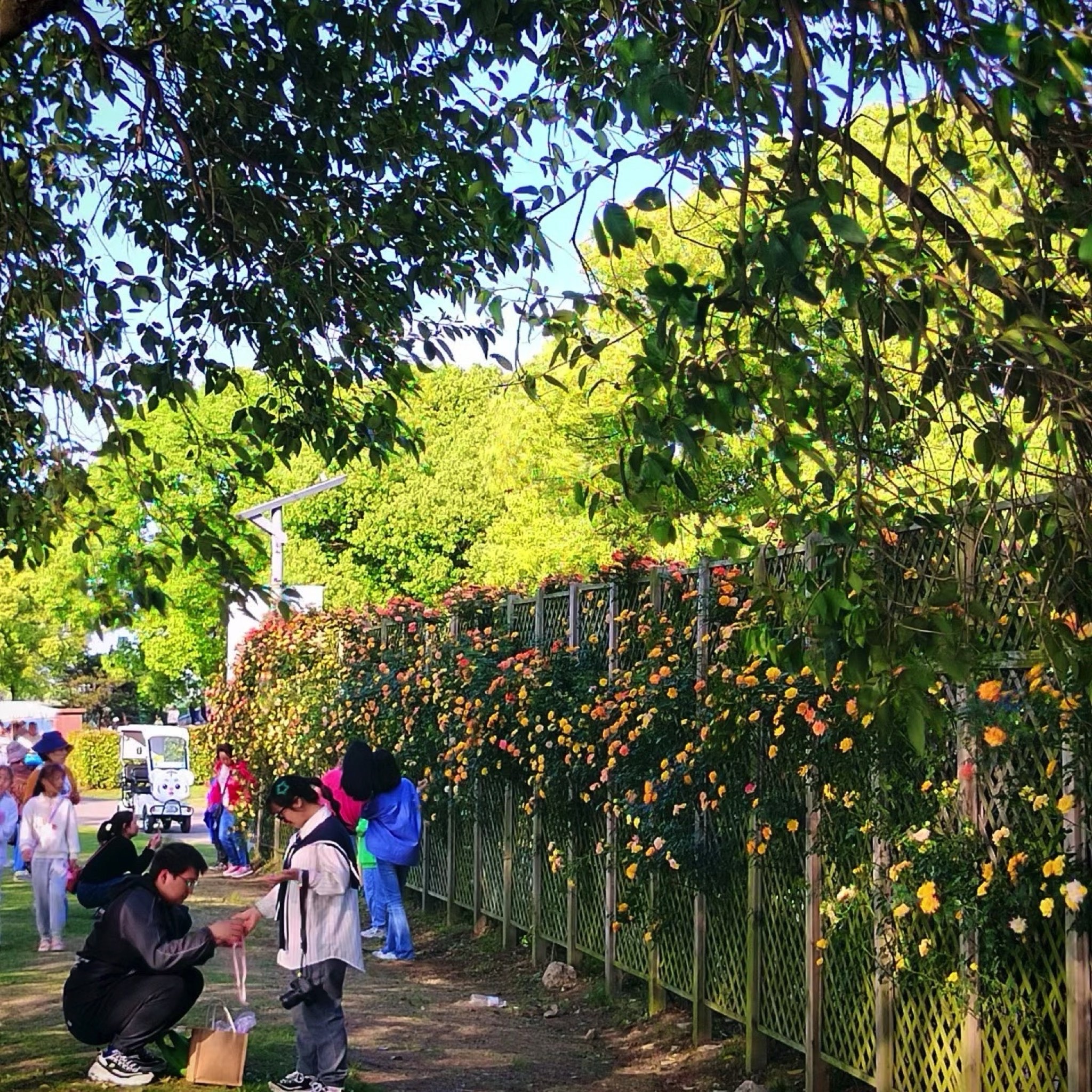盛泽湖景区旅行图片 2