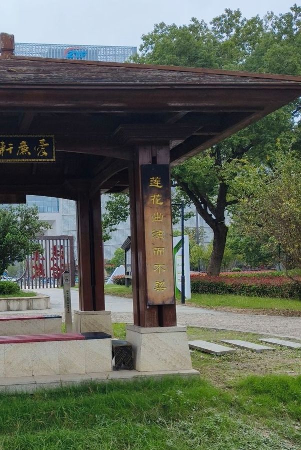 澄园旅行图片 3