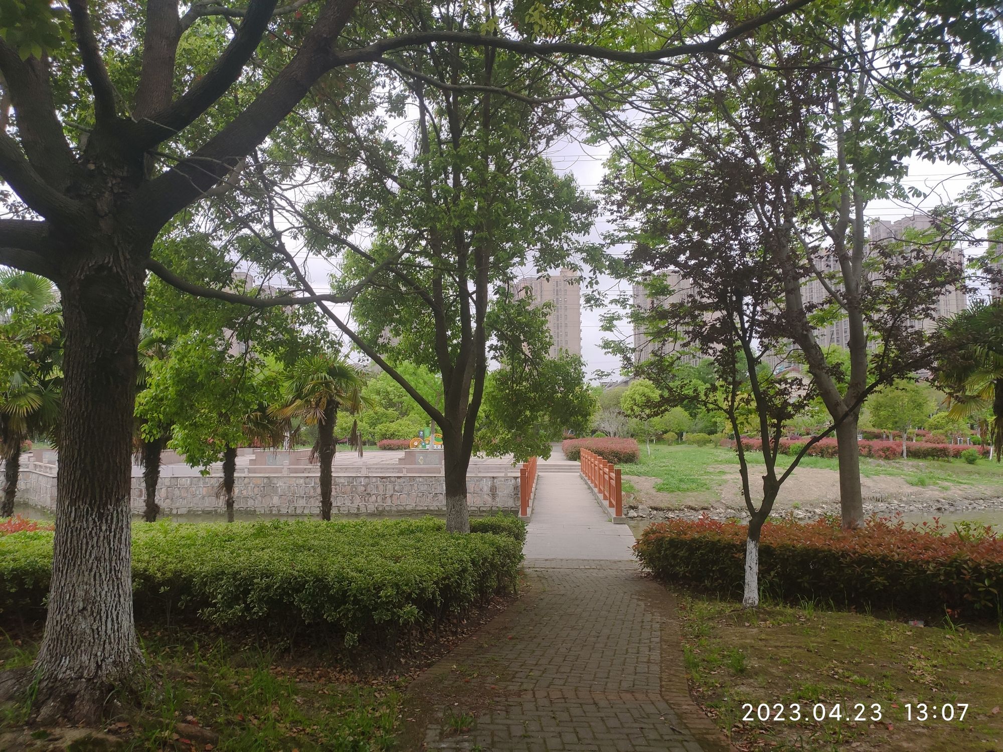 碧溪公园旅行图片 2